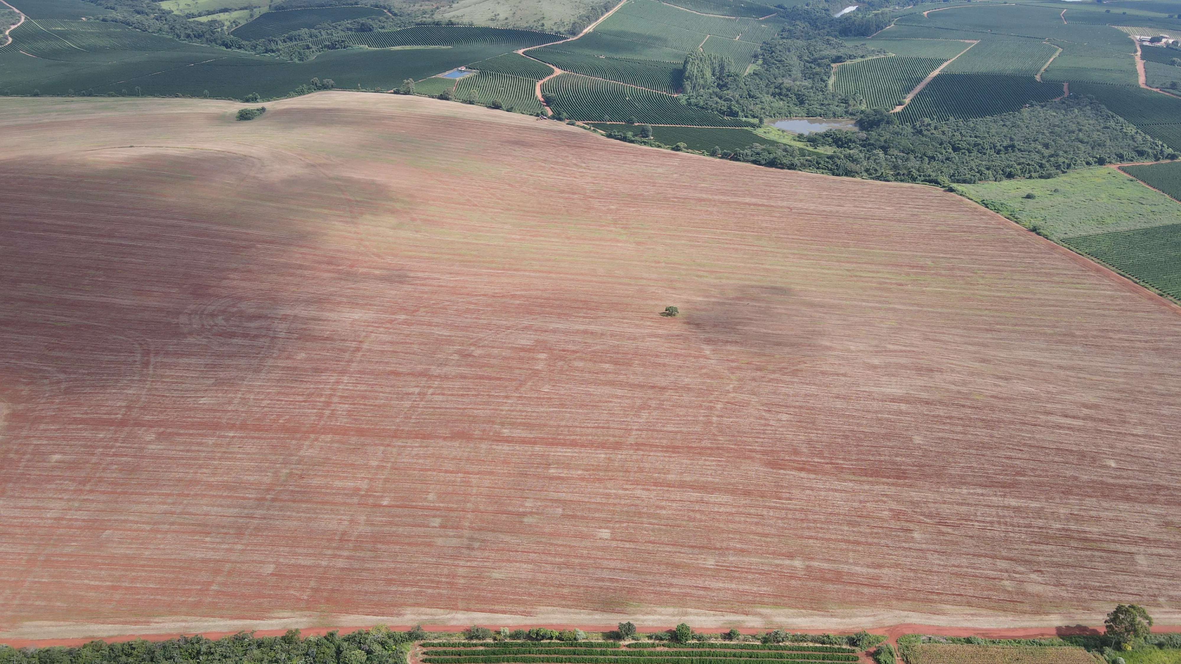 FAZENDA em MONTE CARMELO - FA00079