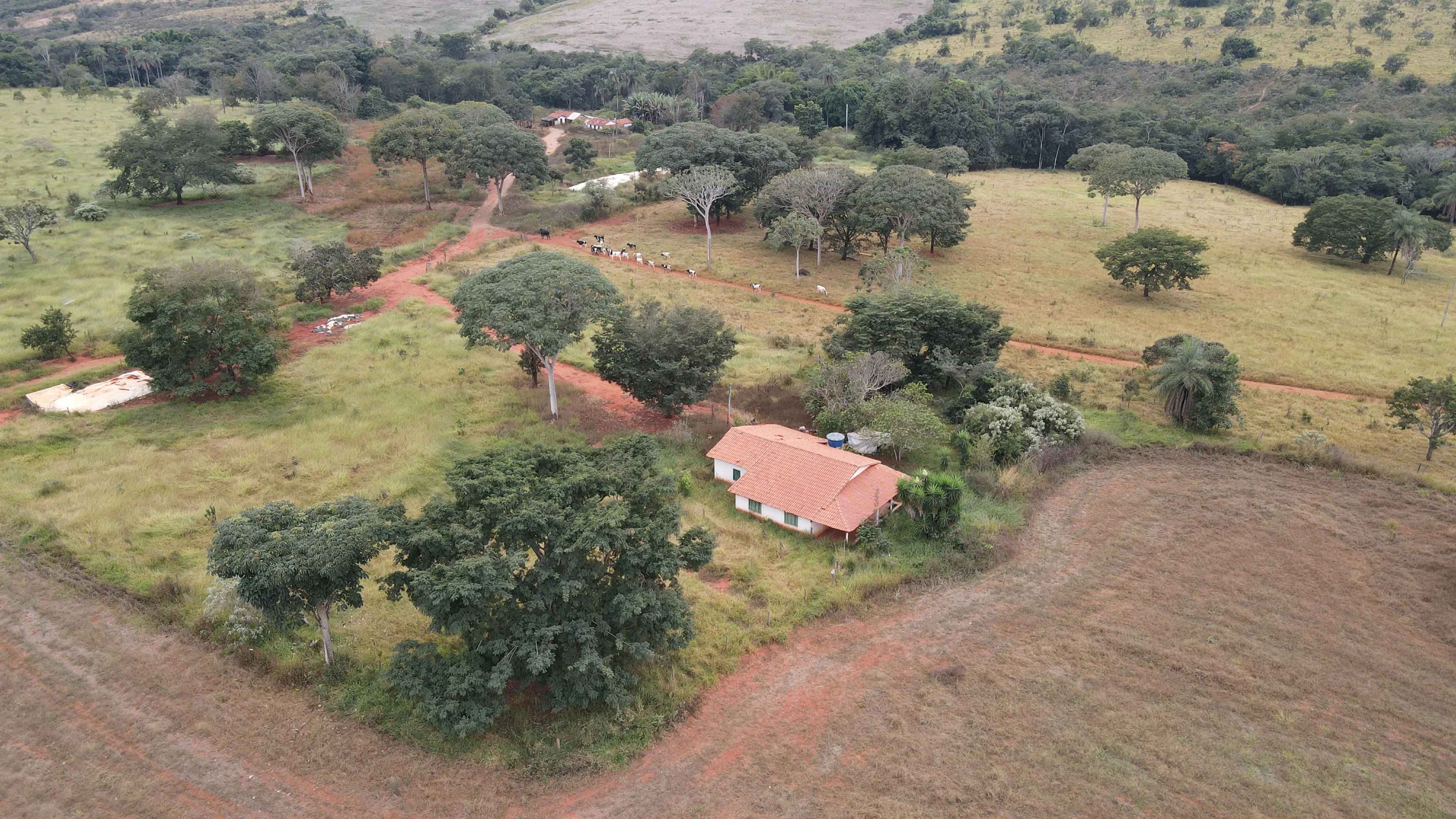 FAZENDA em ZONA RURAL DE COROMANDEL, COROMANDEL - FA00213