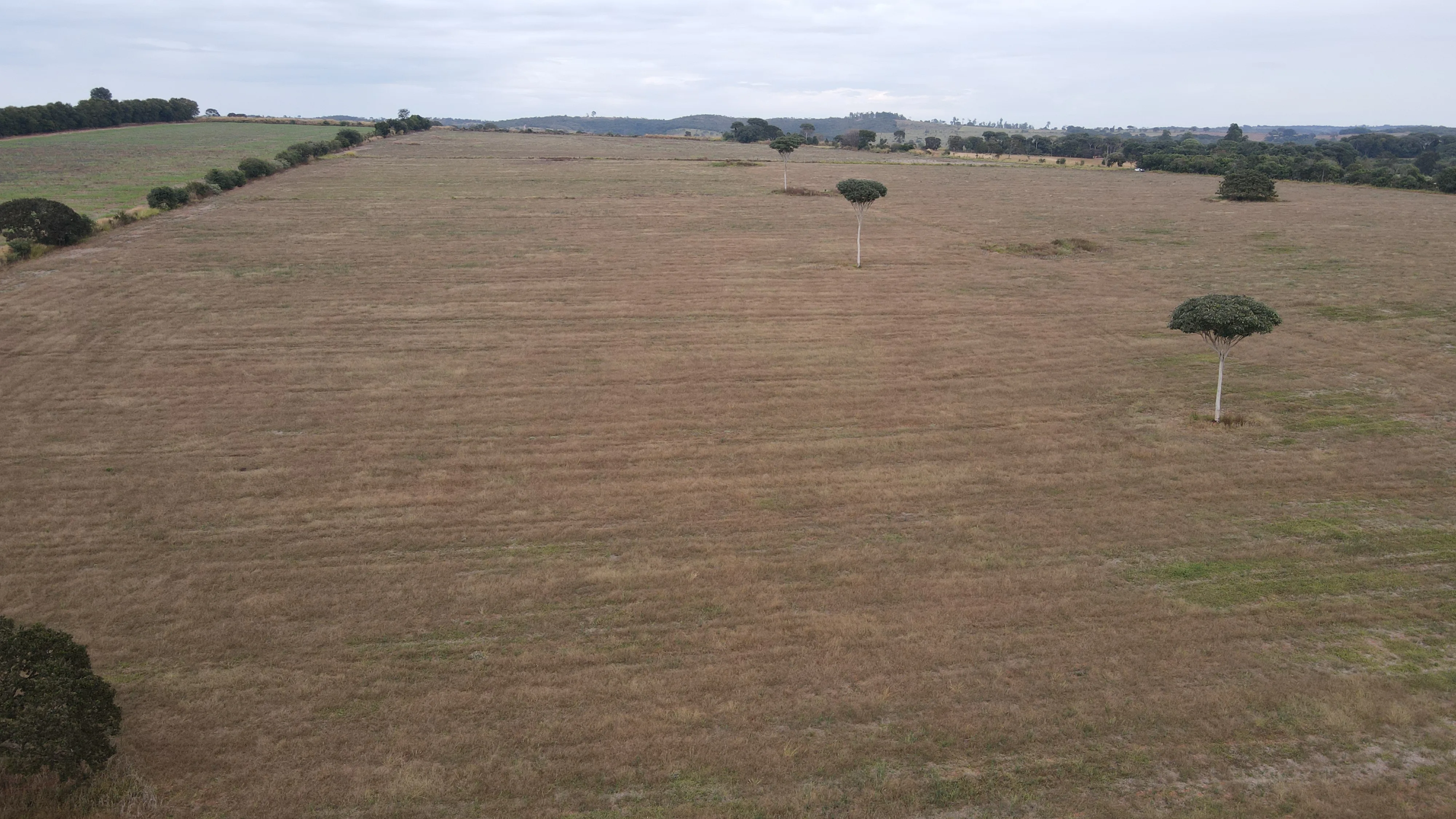 FAZENDA em ZONA RURAL DE COROMANDEL, COROMANDEL - FA00213
