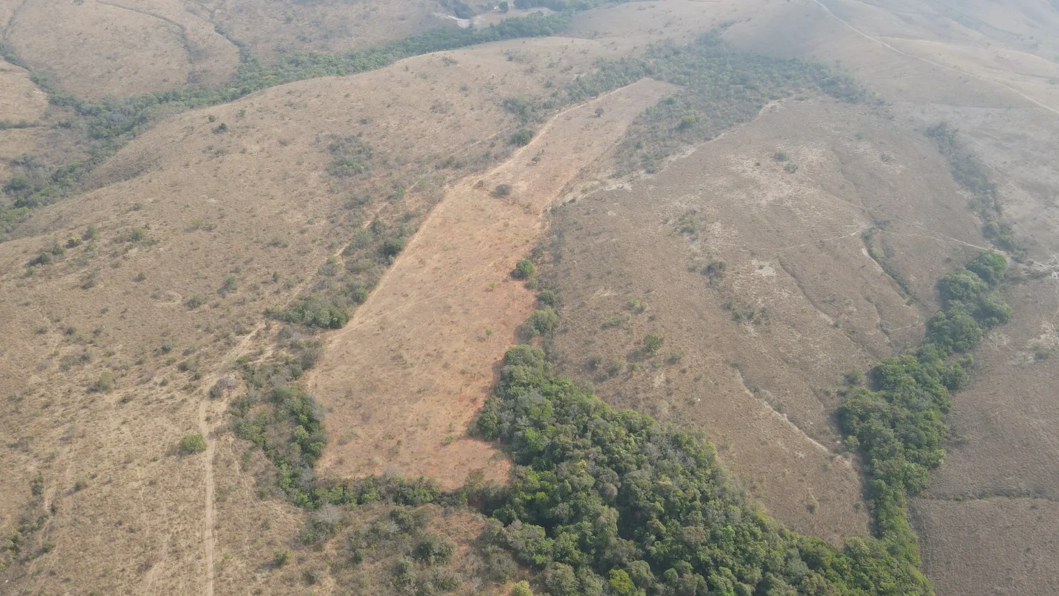 Fazenda Para Investimento Entre Coromandel E Patrocínio/Mg