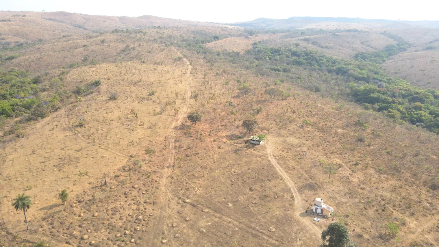 Fazenda Para Investimento Entre Coromandel E Patrocínio/Mg