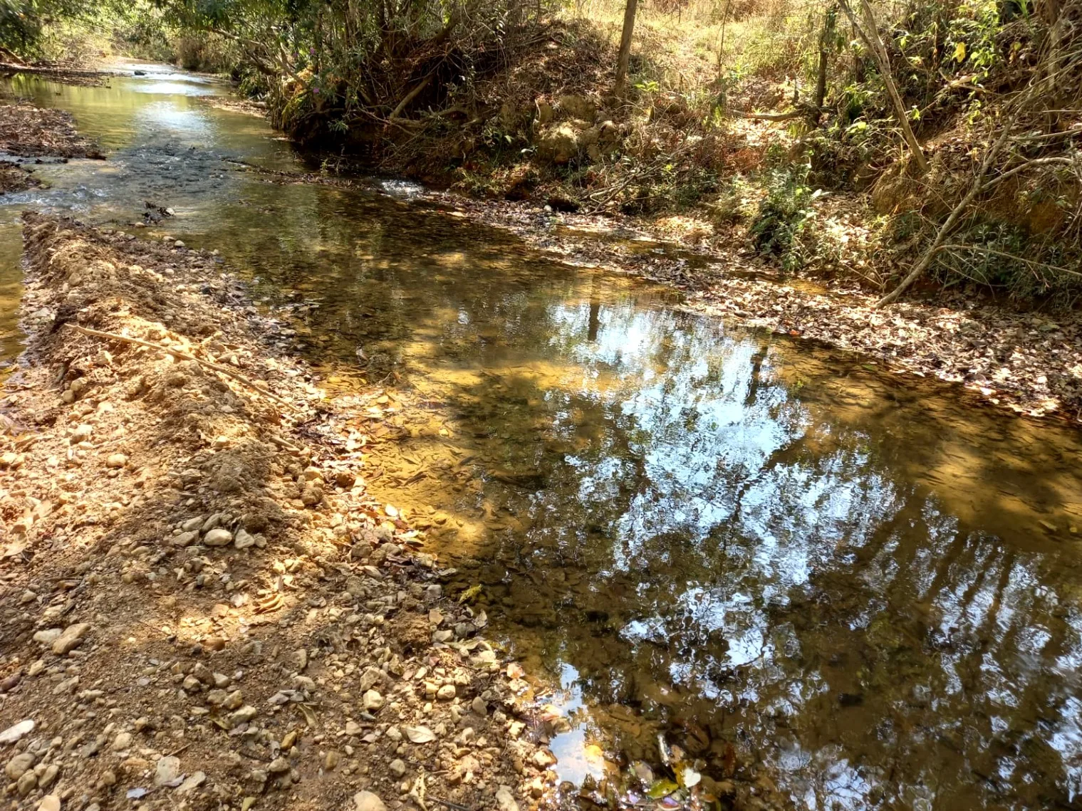 Fazenda Para Investimento Entre Coromandel E Patrocínio/Mg