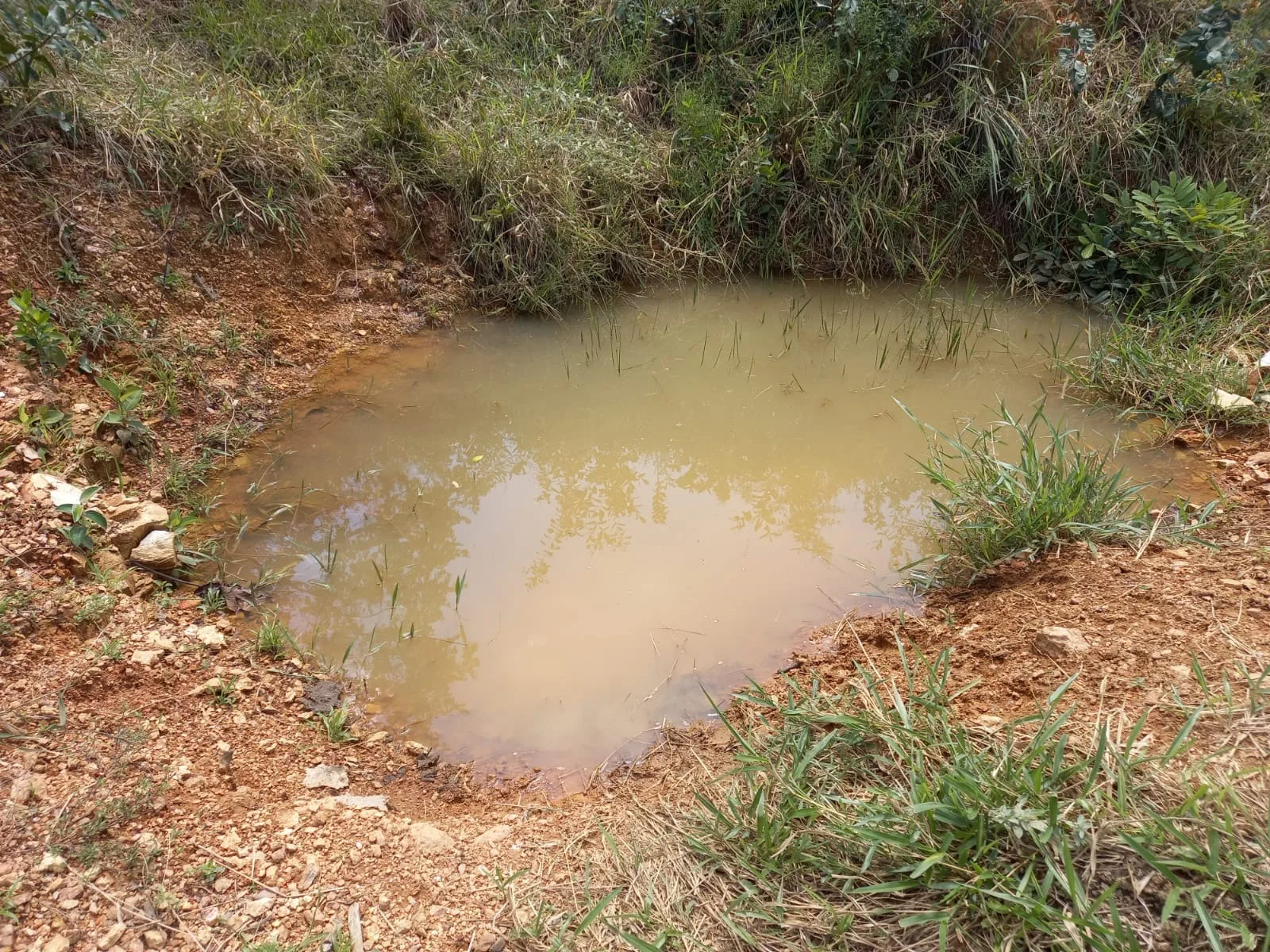 Belo sítio próximo a comunidade de Martins, em Patrocínio/MG