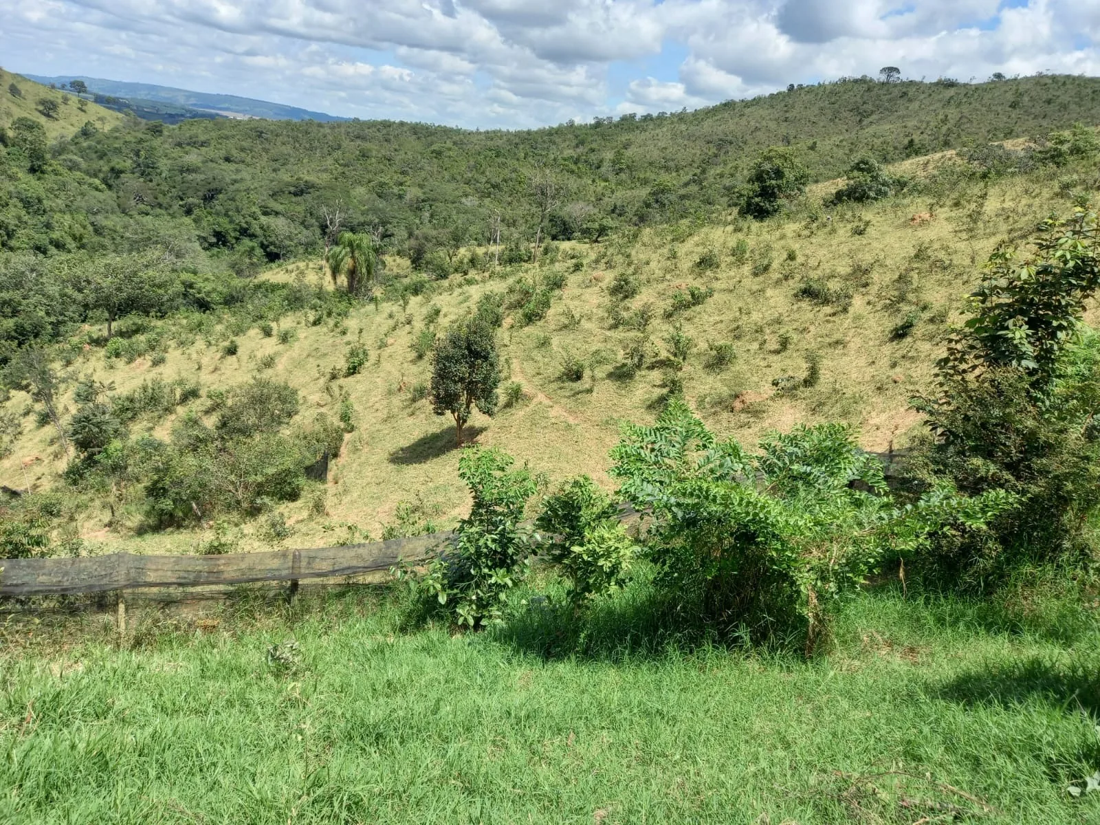 Belo sítio próximo a comunidade de Martins, em Patrocínio/MG
