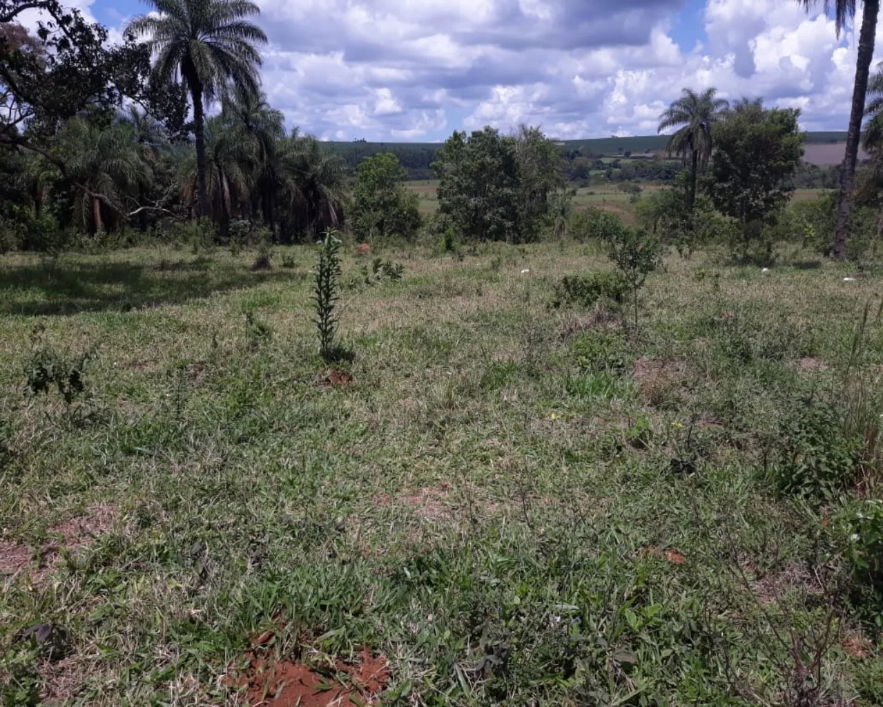 Sítio Com Boa Localização, Região De Malhadouro Patrocínio-Mg