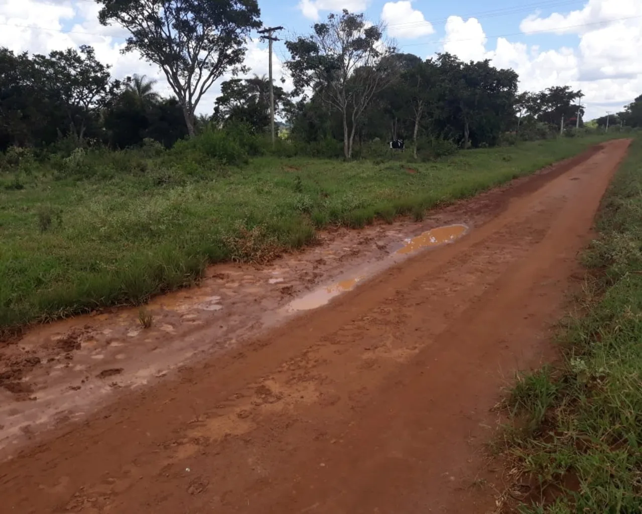 Sítio Com Boa Localização, Região De Malhadouro Patrocínio-Mg