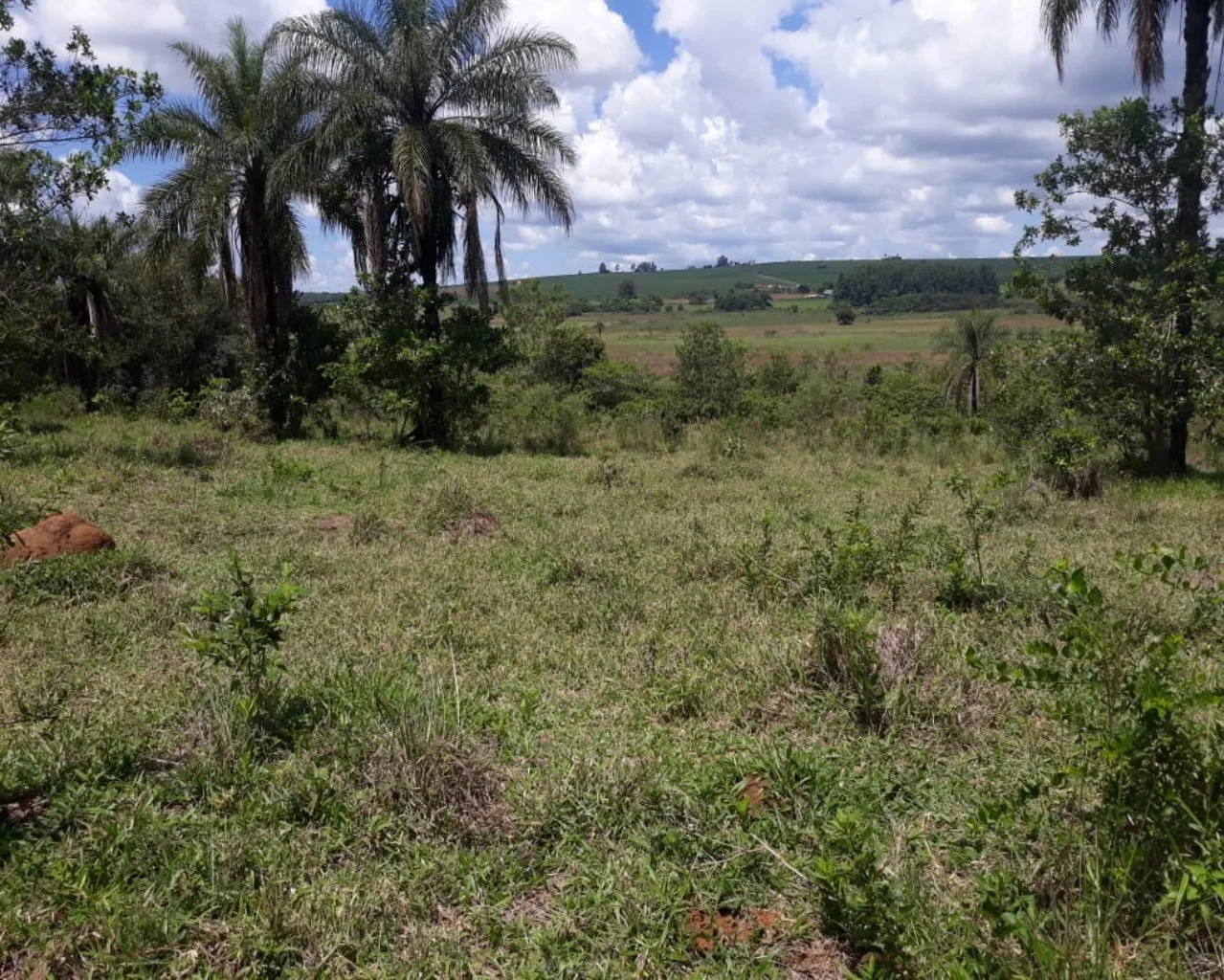 Sítio Com Boa Localização, Região De Malhadouro Patrocínio-Mg