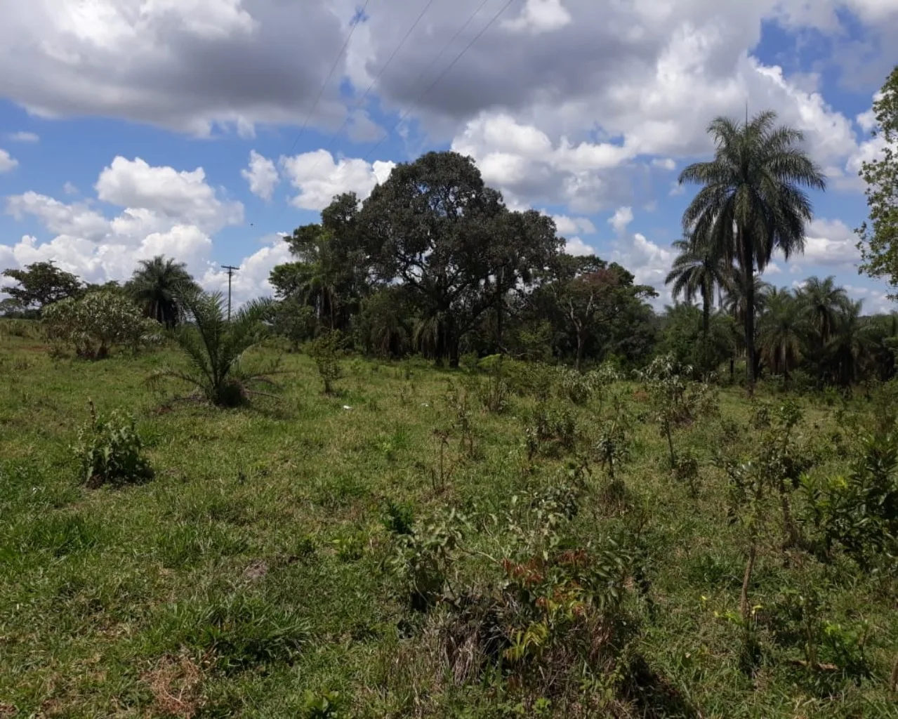 Sítio Com Boa Localização, Região De Malhadouro Patrocínio-Mg
