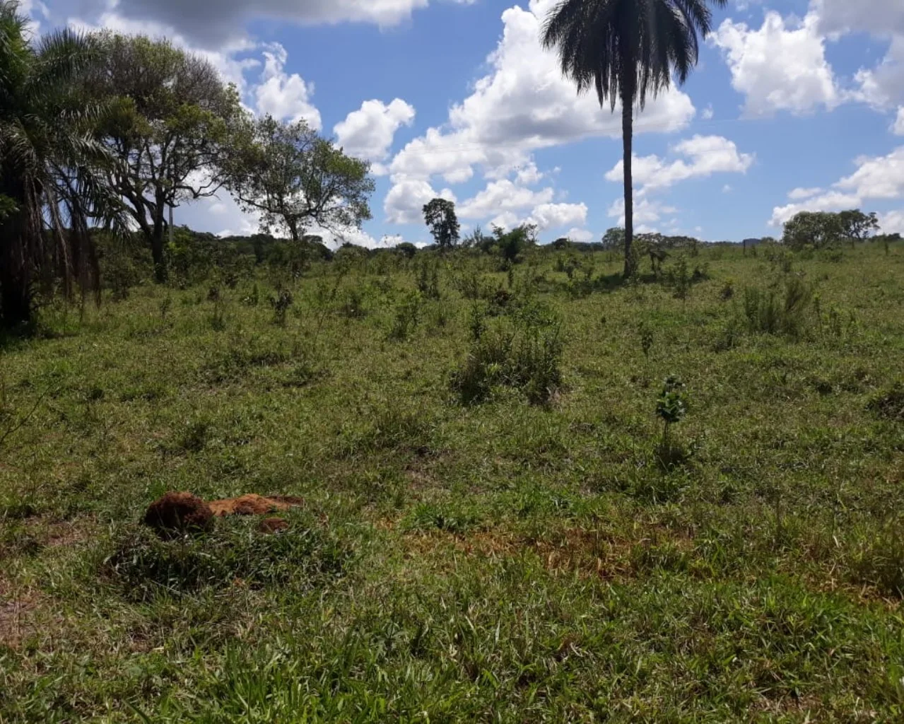 Sítio Com Boa Localização, Região De Malhadouro Patrocínio-Mg