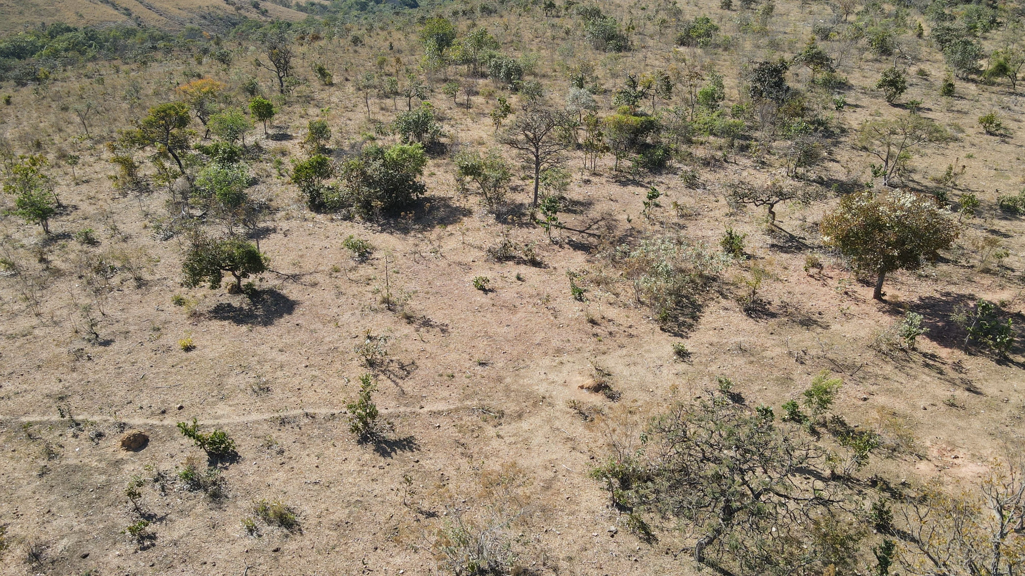 Sitio Para Plantio Ou Pasto Entre Patrocínio E Coromandel