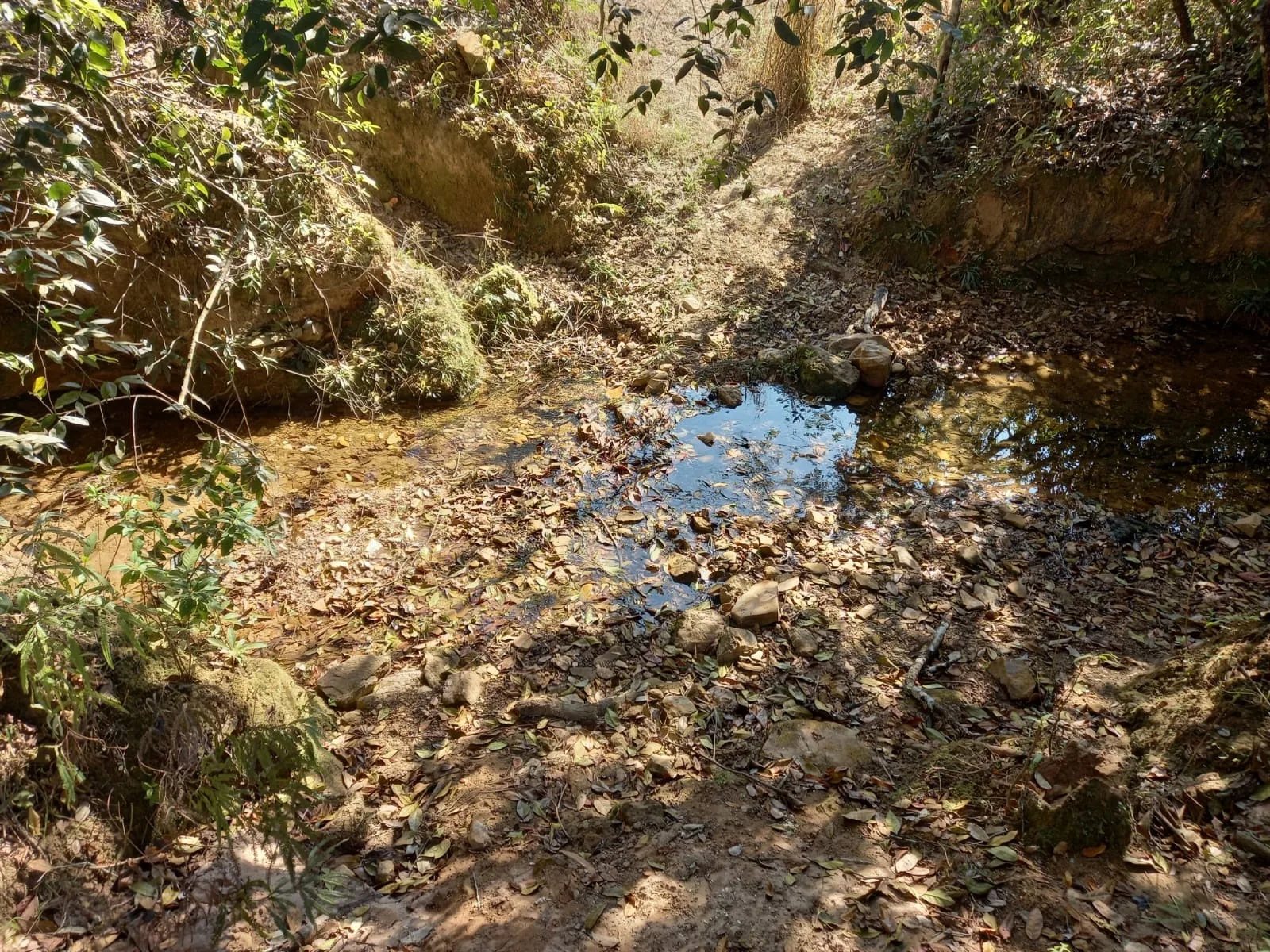 Sitio Para Plantio Ou Pasto Entre Patrocínio E Coromandel