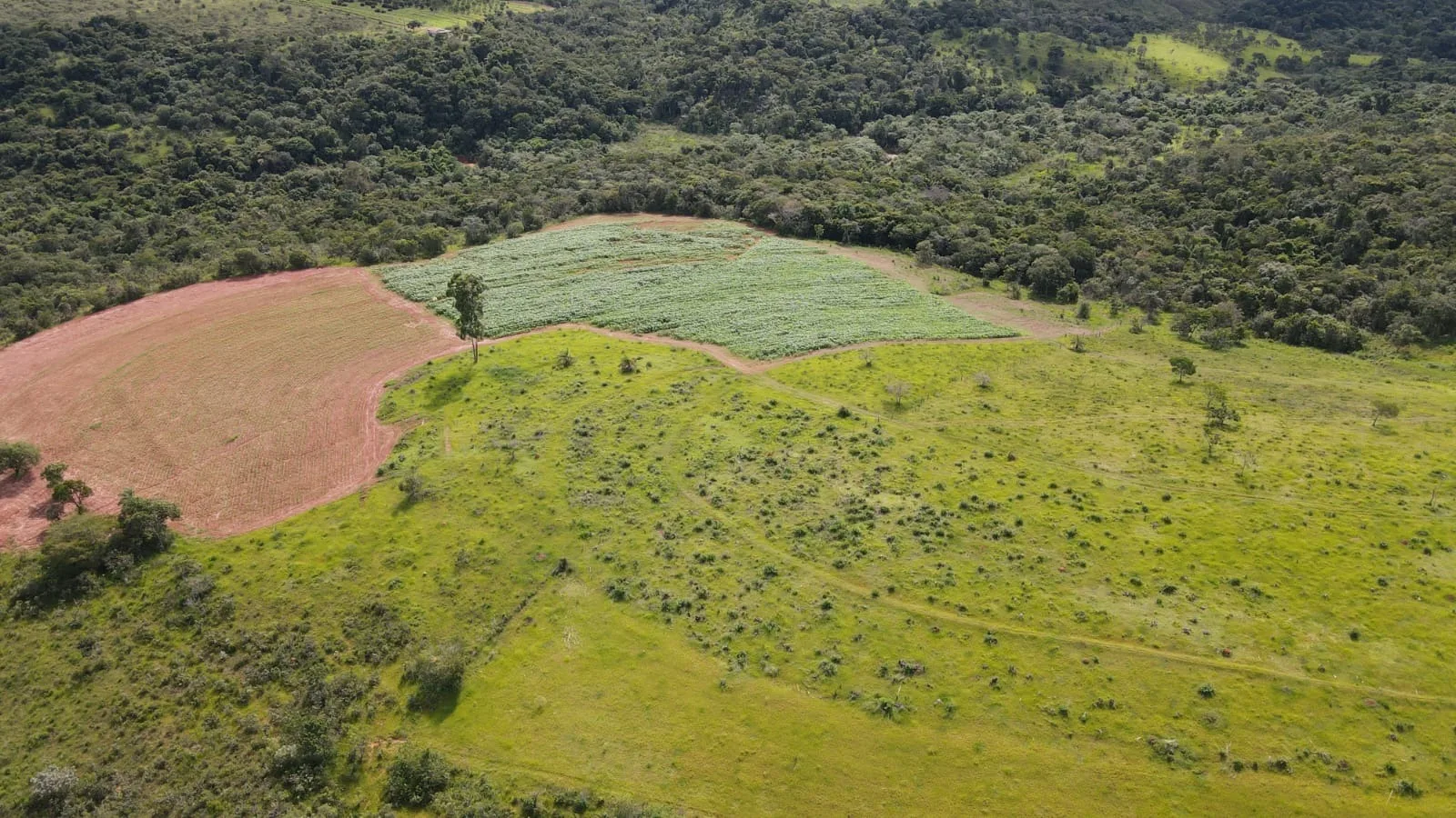 Fazenda Com 62Ha Em Campos Altos-Mg