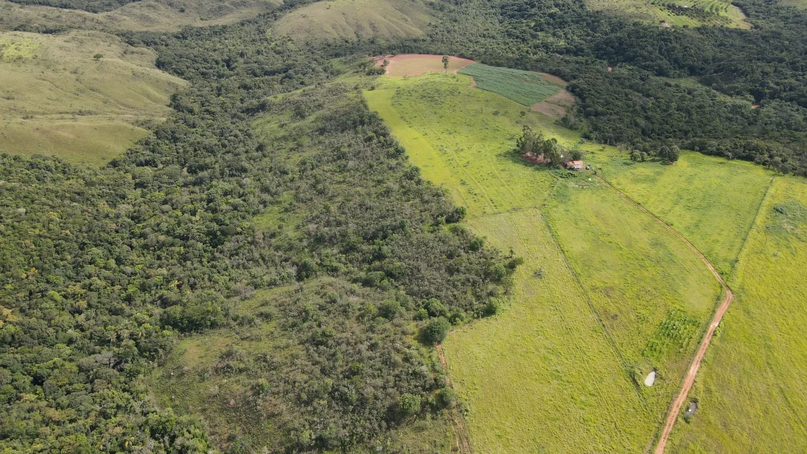 Fazenda Com 62Ha Em Campos Altos-Mg