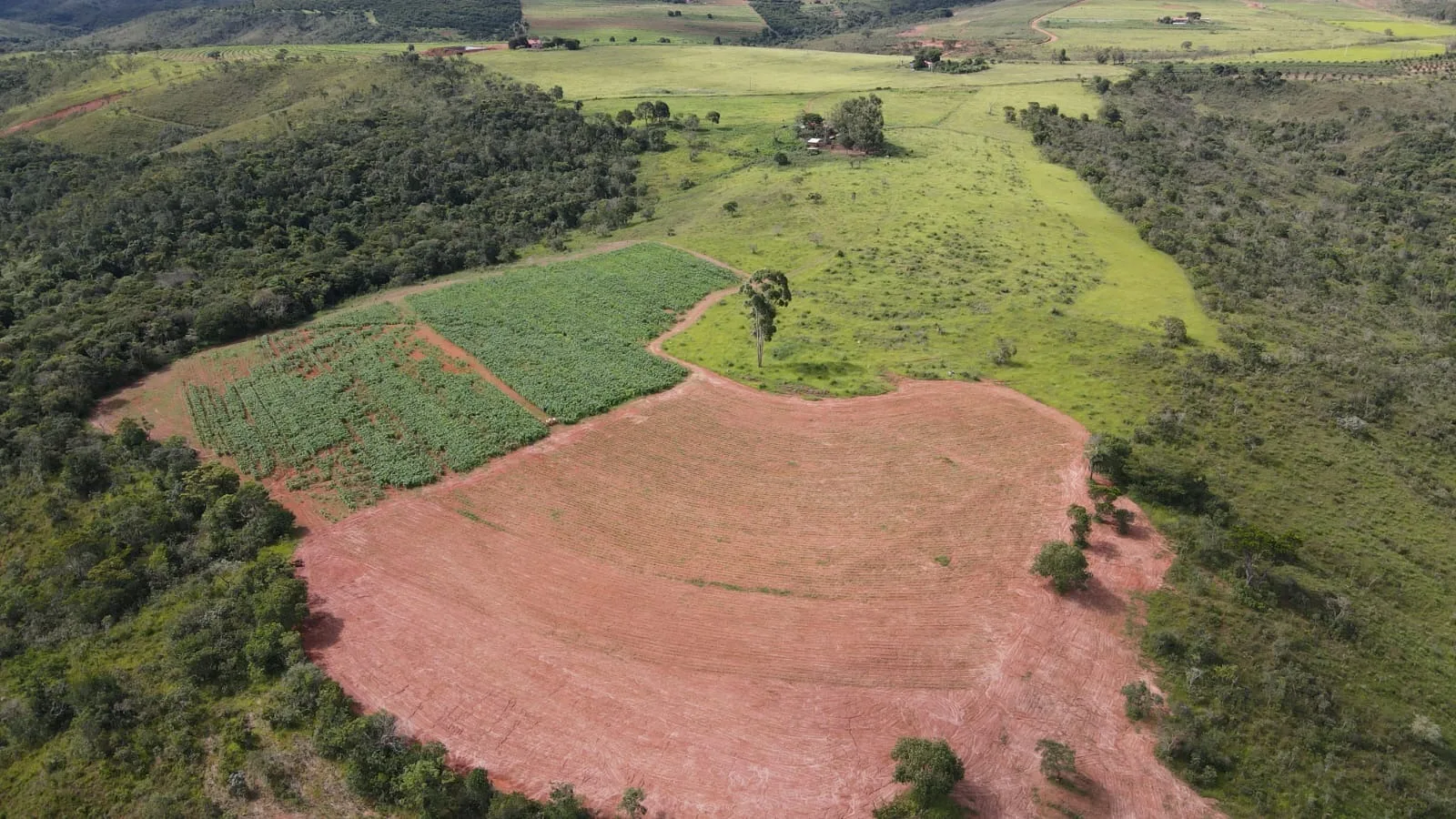 Fazenda Com 62Ha Em Campos Altos-Mg