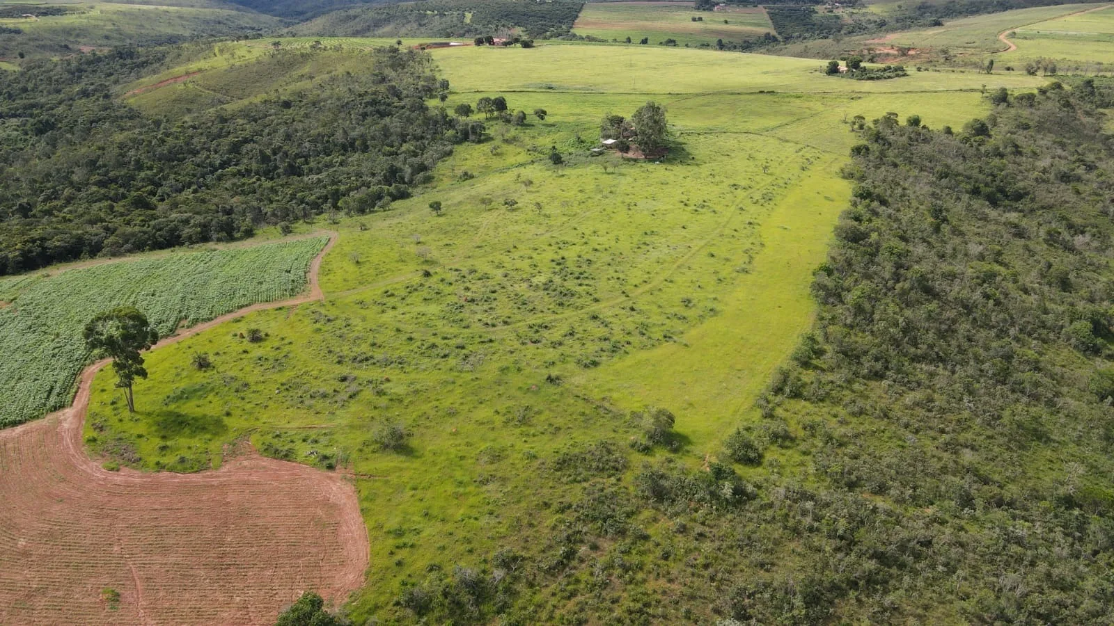 Fazenda Com 62Ha Em Campos Altos-Mg