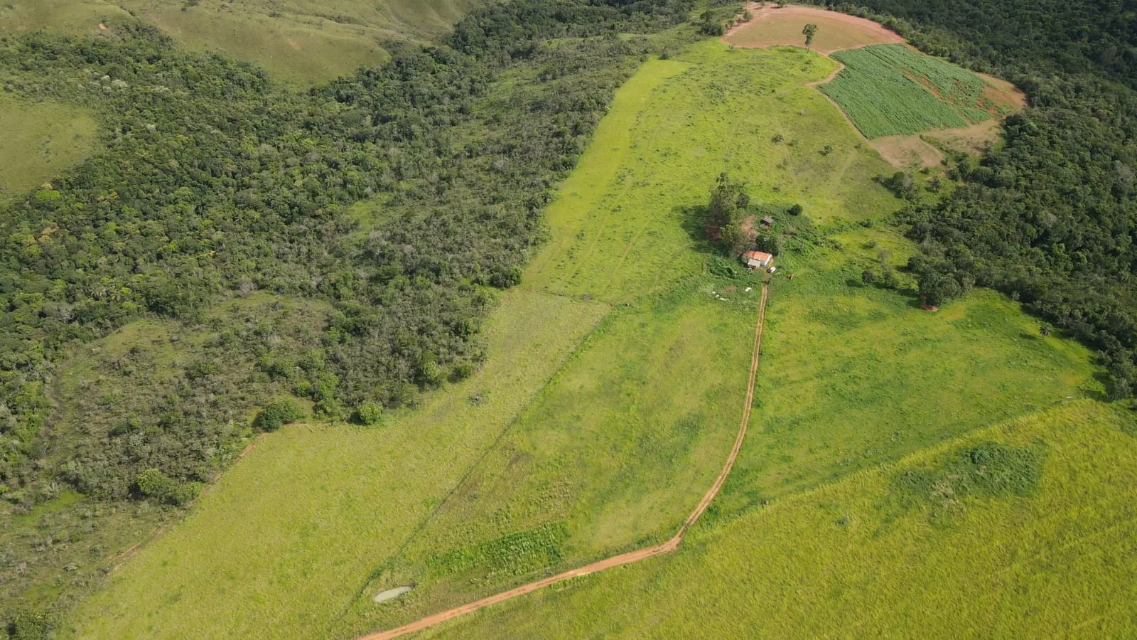 Fazenda Com 62Ha Em Campos Altos-Mg