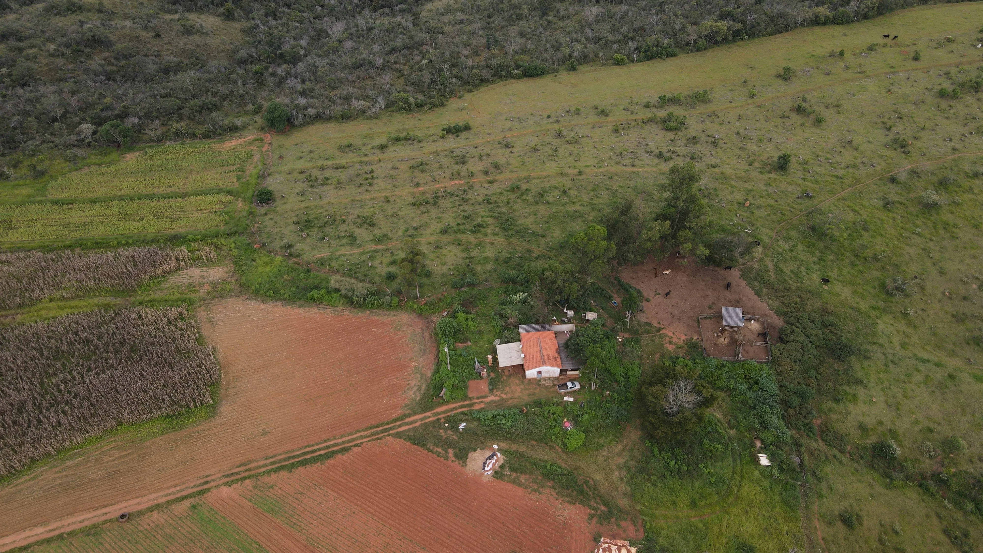 Fazenda Com 62Ha Em Campos Altos-Mg