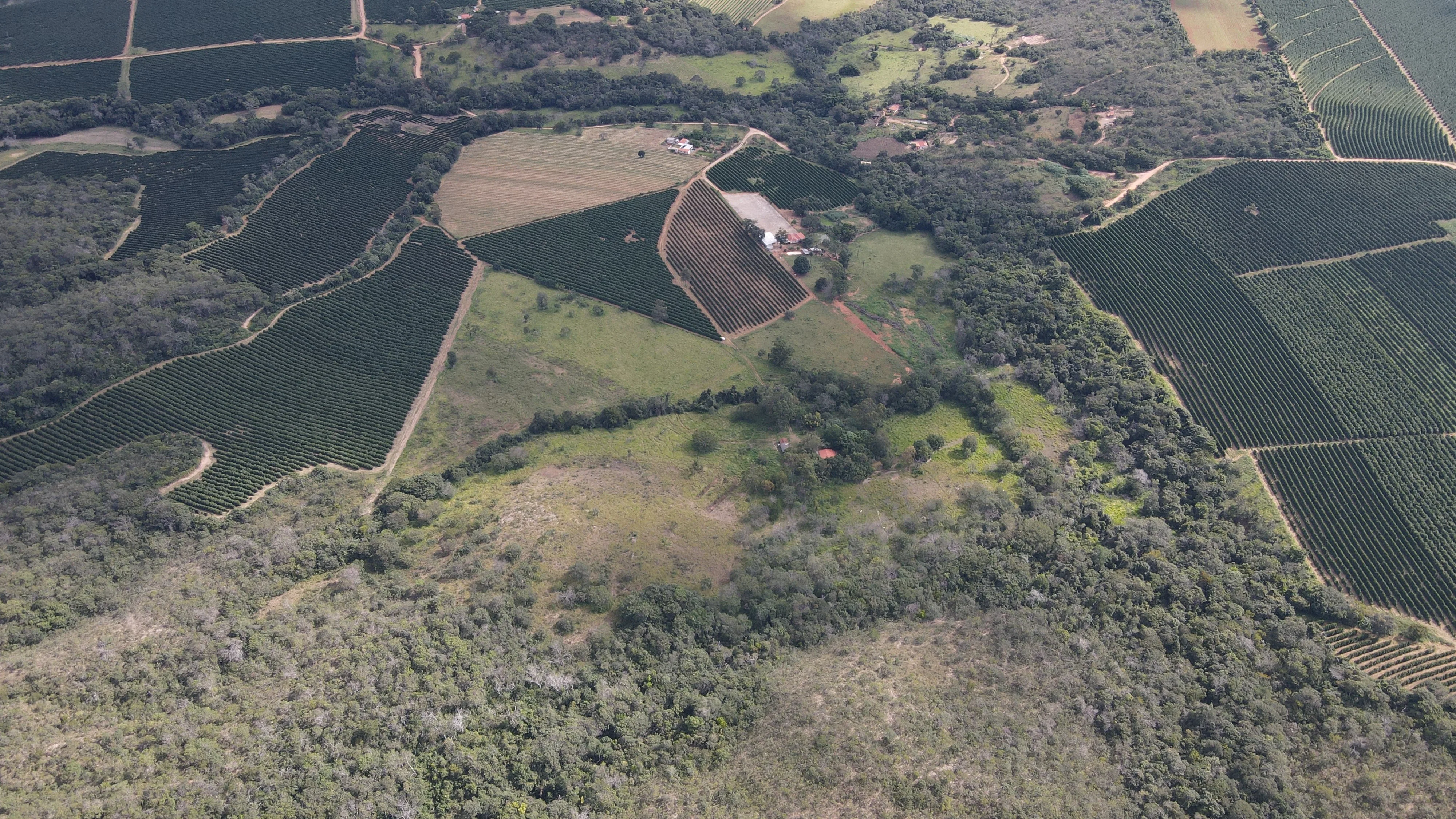 Fazenda Pé De Galinha Patrocínio- Mg