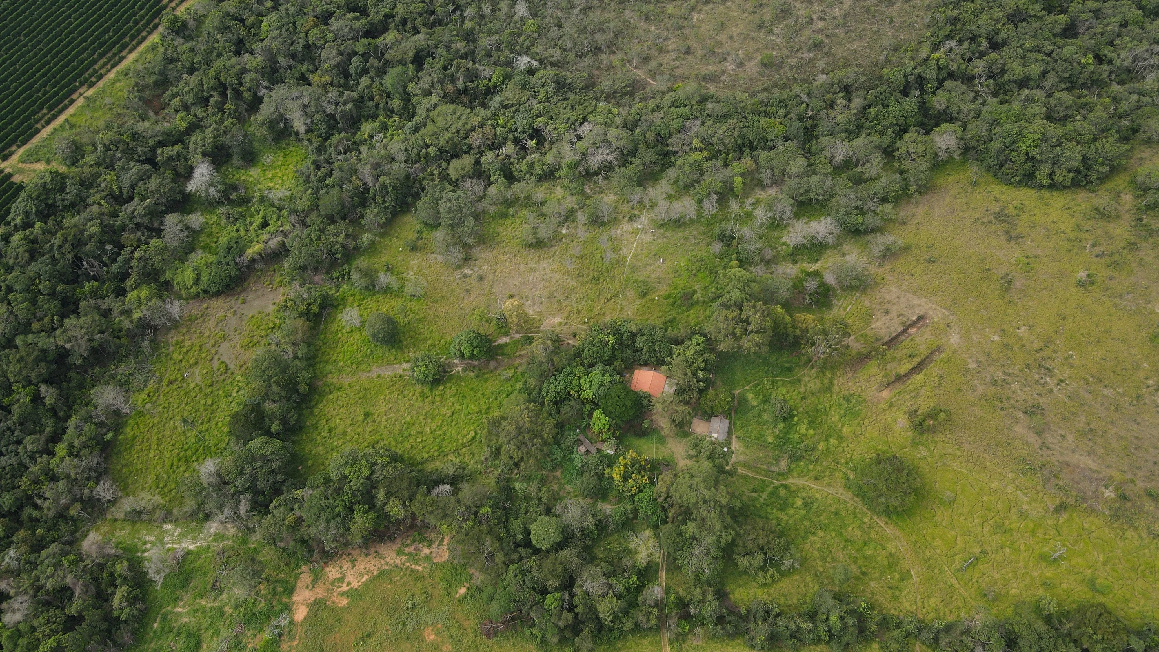 Fazenda Pé De Galinha Patrocínio- Mg