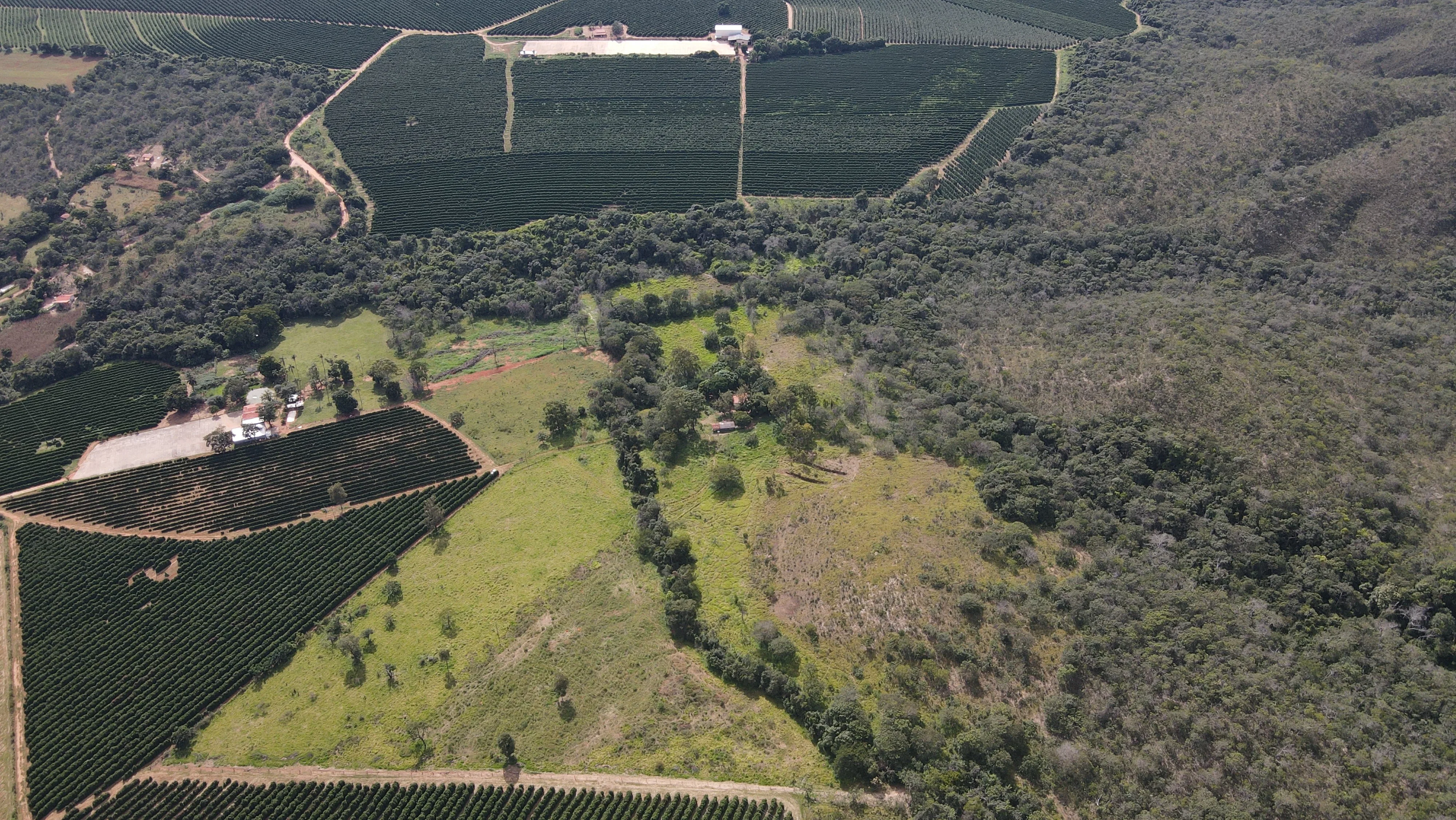 Fazenda Pé De Galinha Patrocínio- Mg