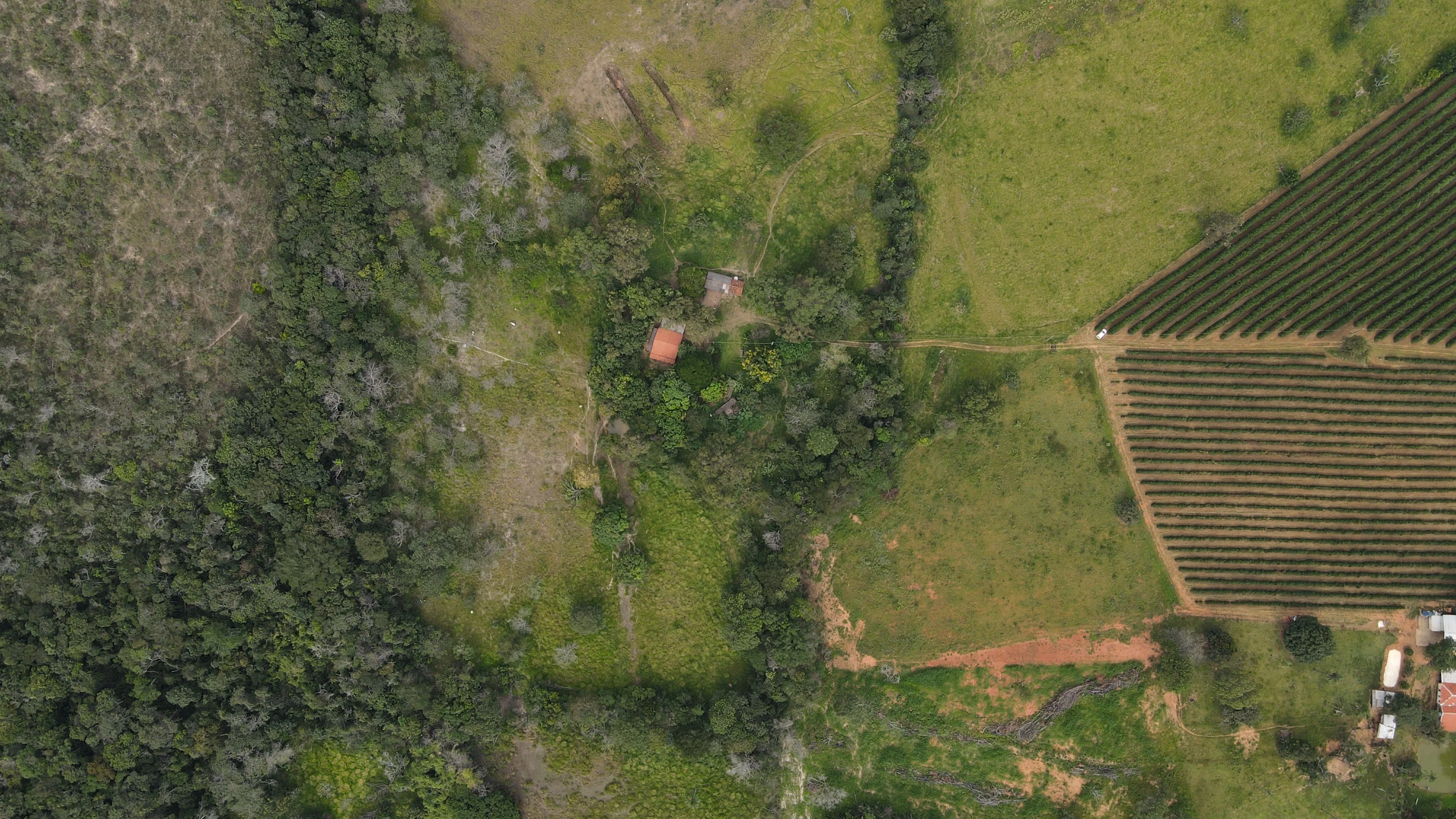 Fazenda Pé De Galinha Patrocínio- Mg