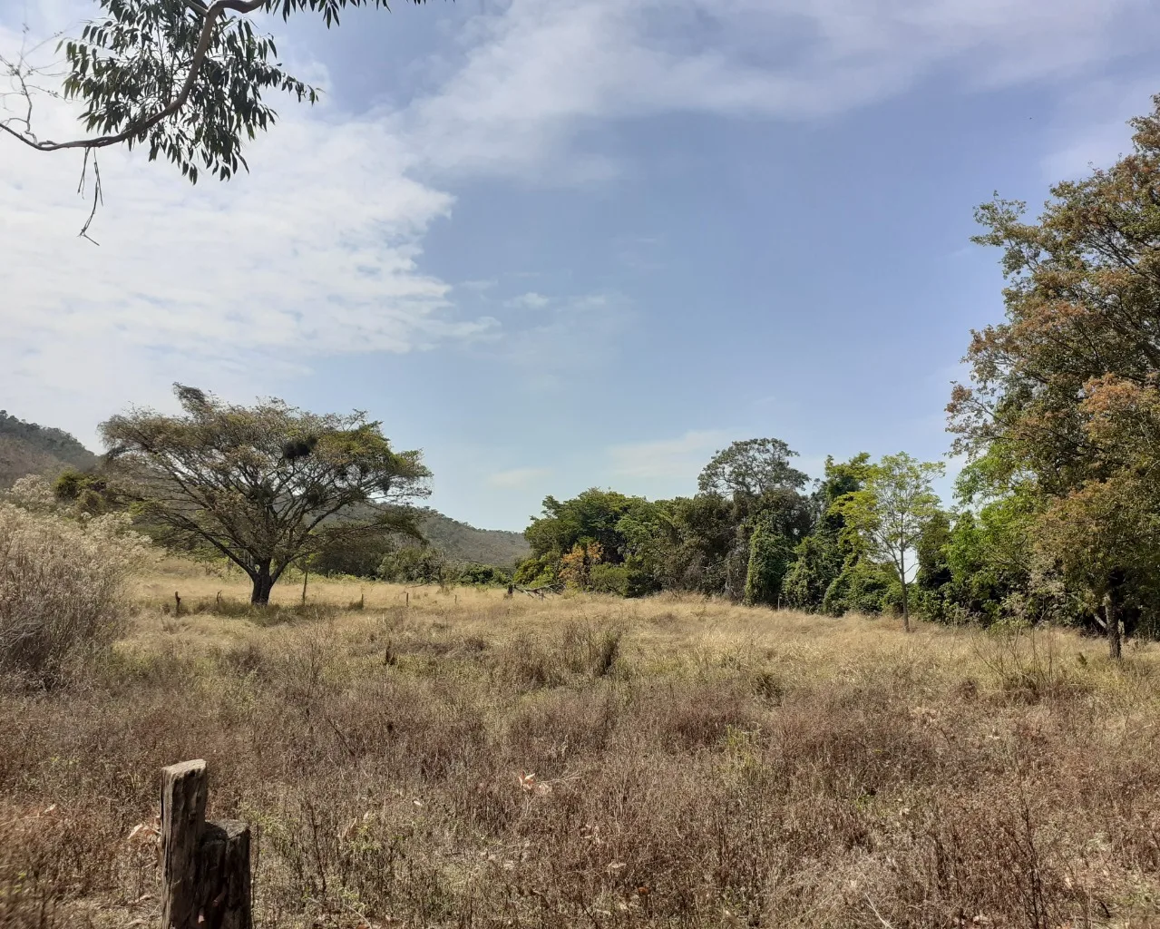 Fazenda Pé De Galinha Patrocínio- Mg