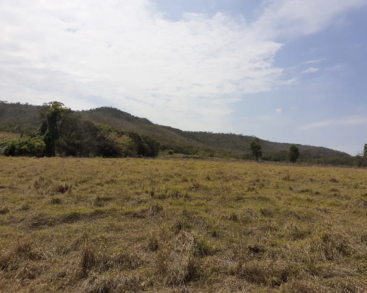 Fazenda Pé De Galinha Patrocínio- Mg