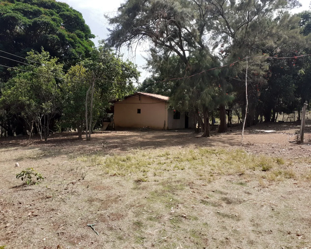 Fazenda Pé De Galinha Patrocínio- Mg