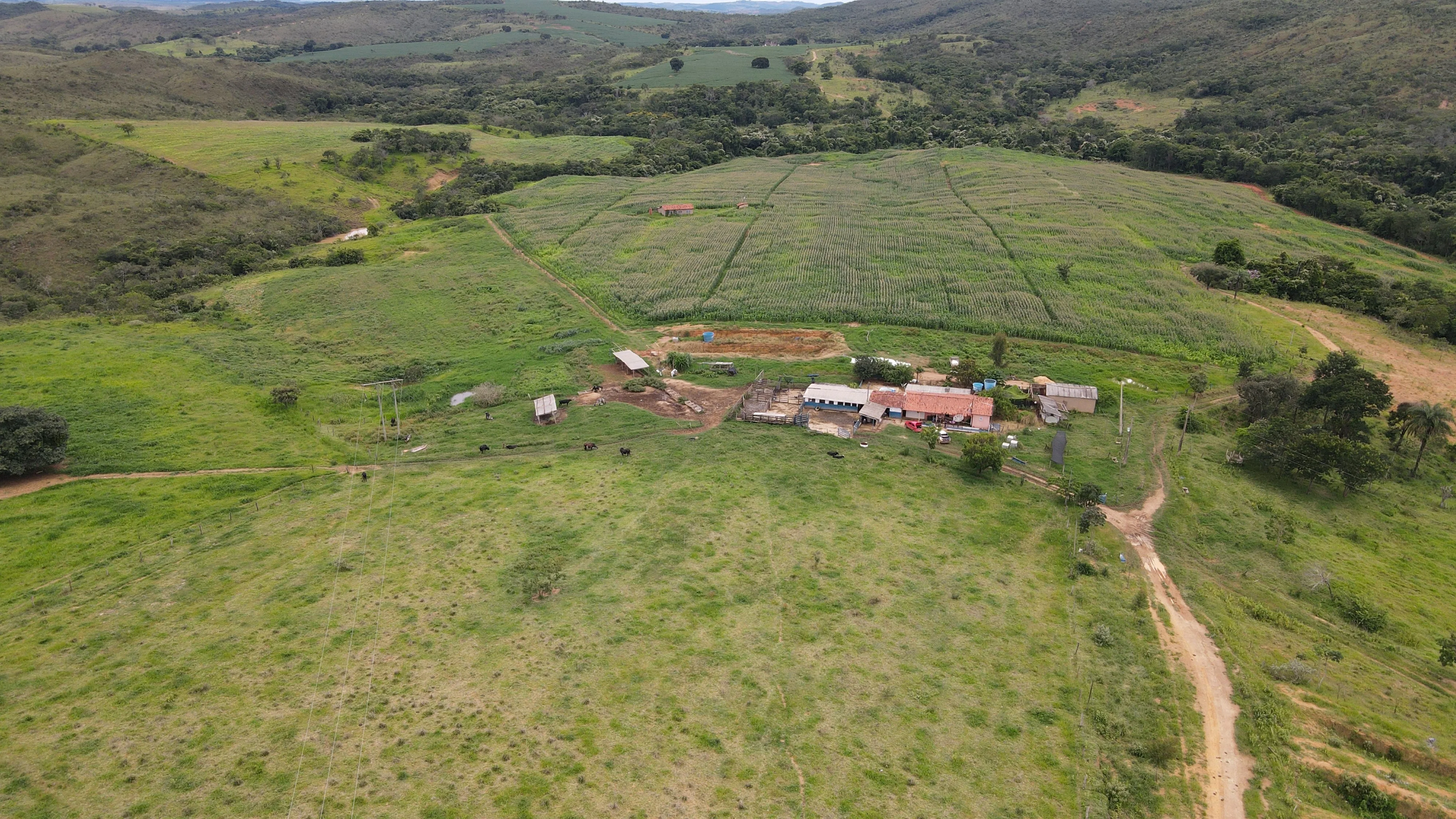 Fazenda Para Gado E Cereais Em Coromandel