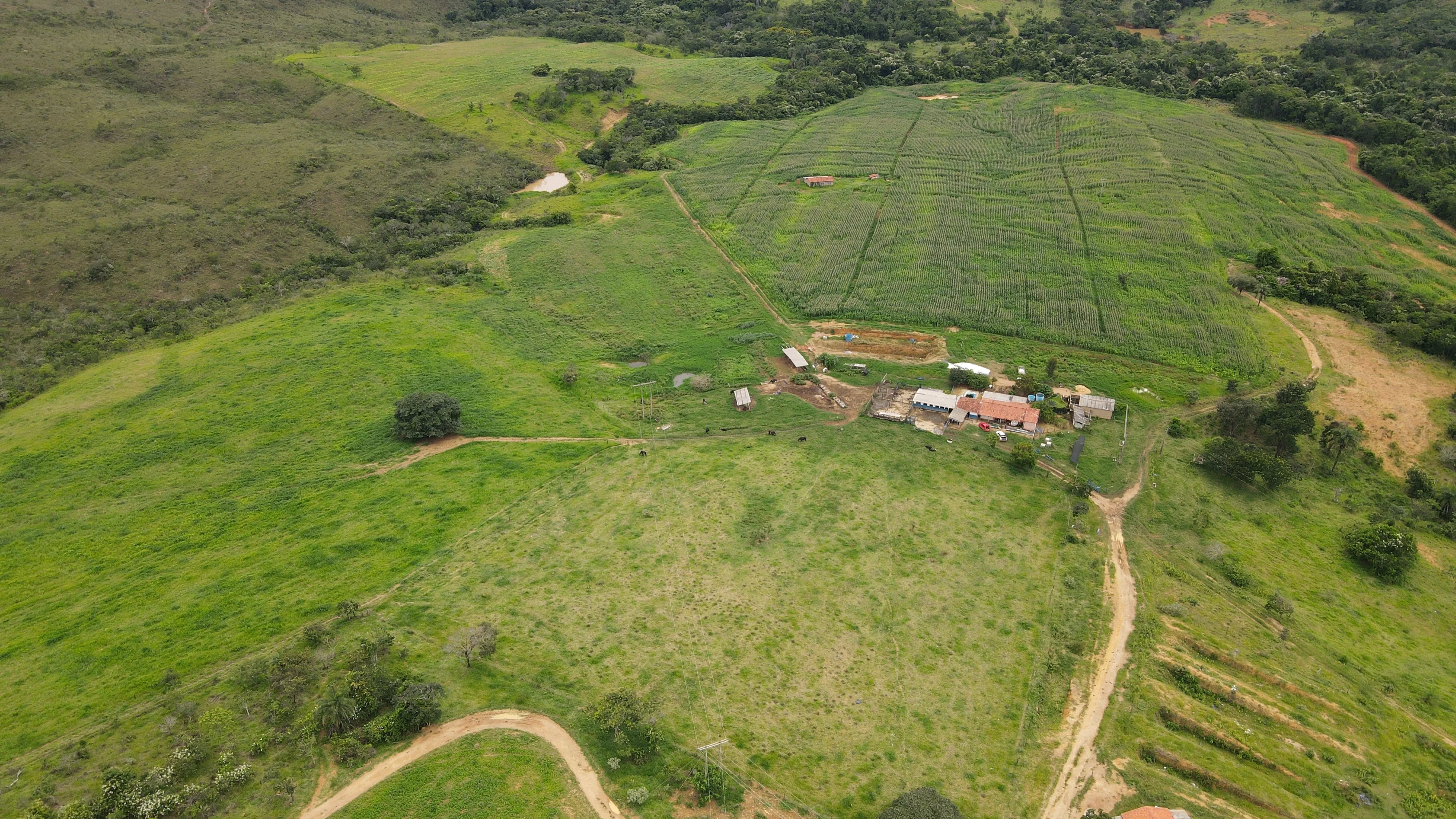 Fazenda Para Gado E Cereais Em Coromandel