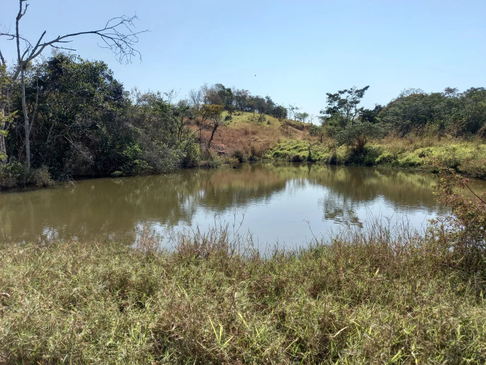 Fazenda Para Gado E Cereais Em Coromandel
