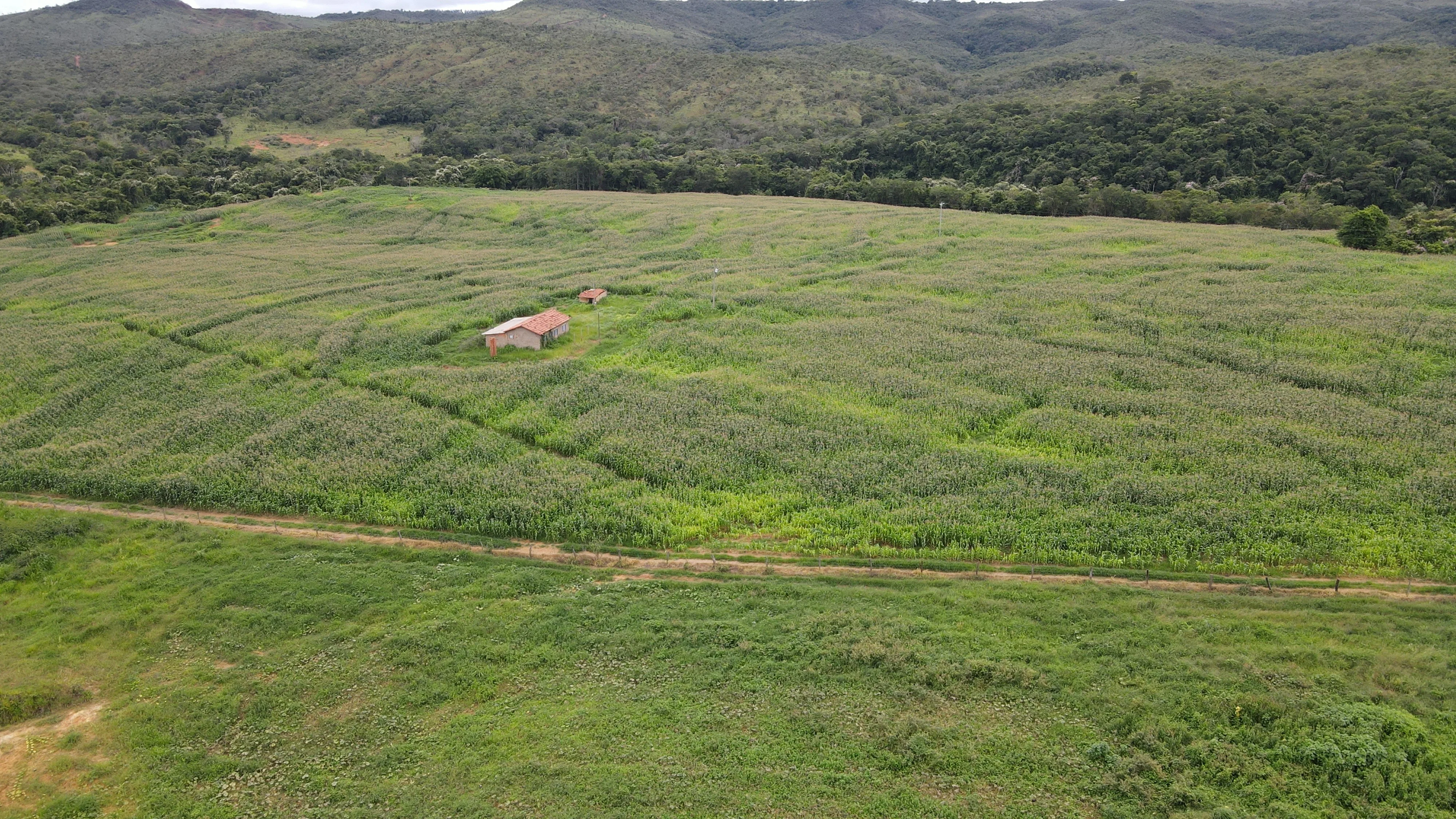 Fazenda Para Gado E Cereais Em Coromandel