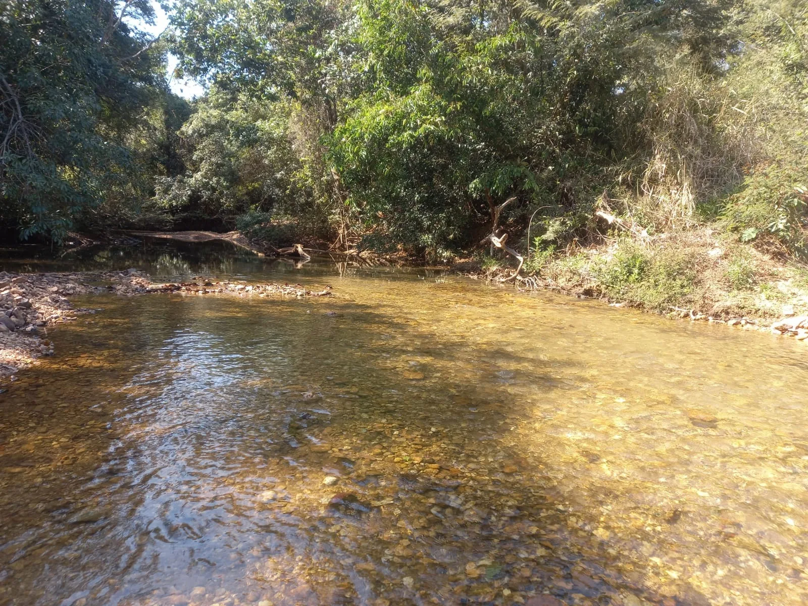 Fazenda Para Gado E Cereais Em Coromandel