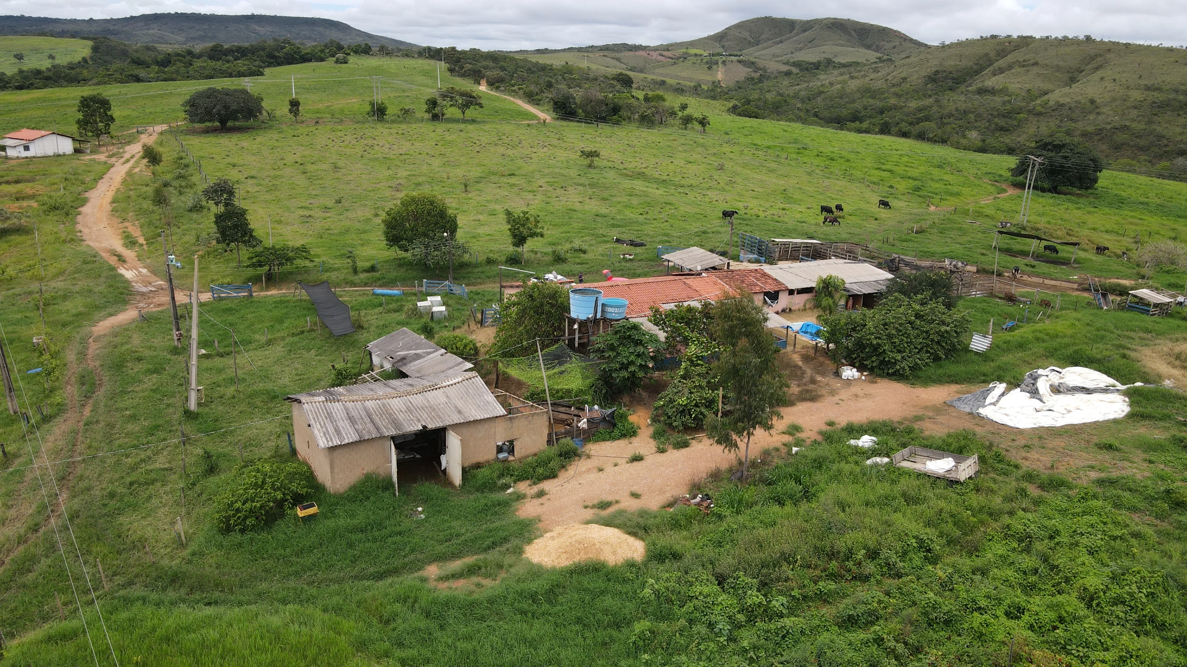 Fazenda Para Gado E Cereais Em Coromandel