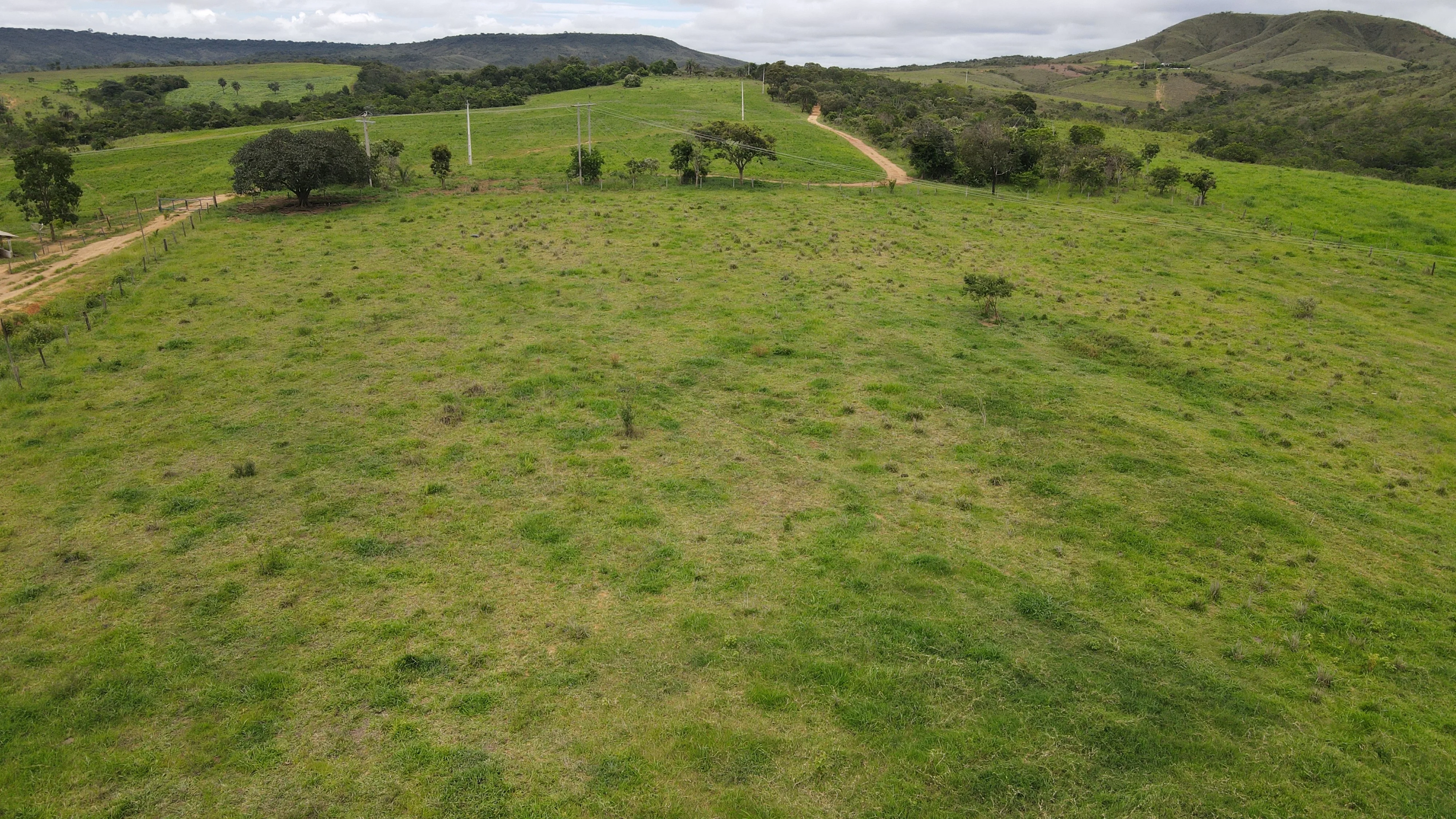 Fazenda Para Gado E Cereais Em Coromandel