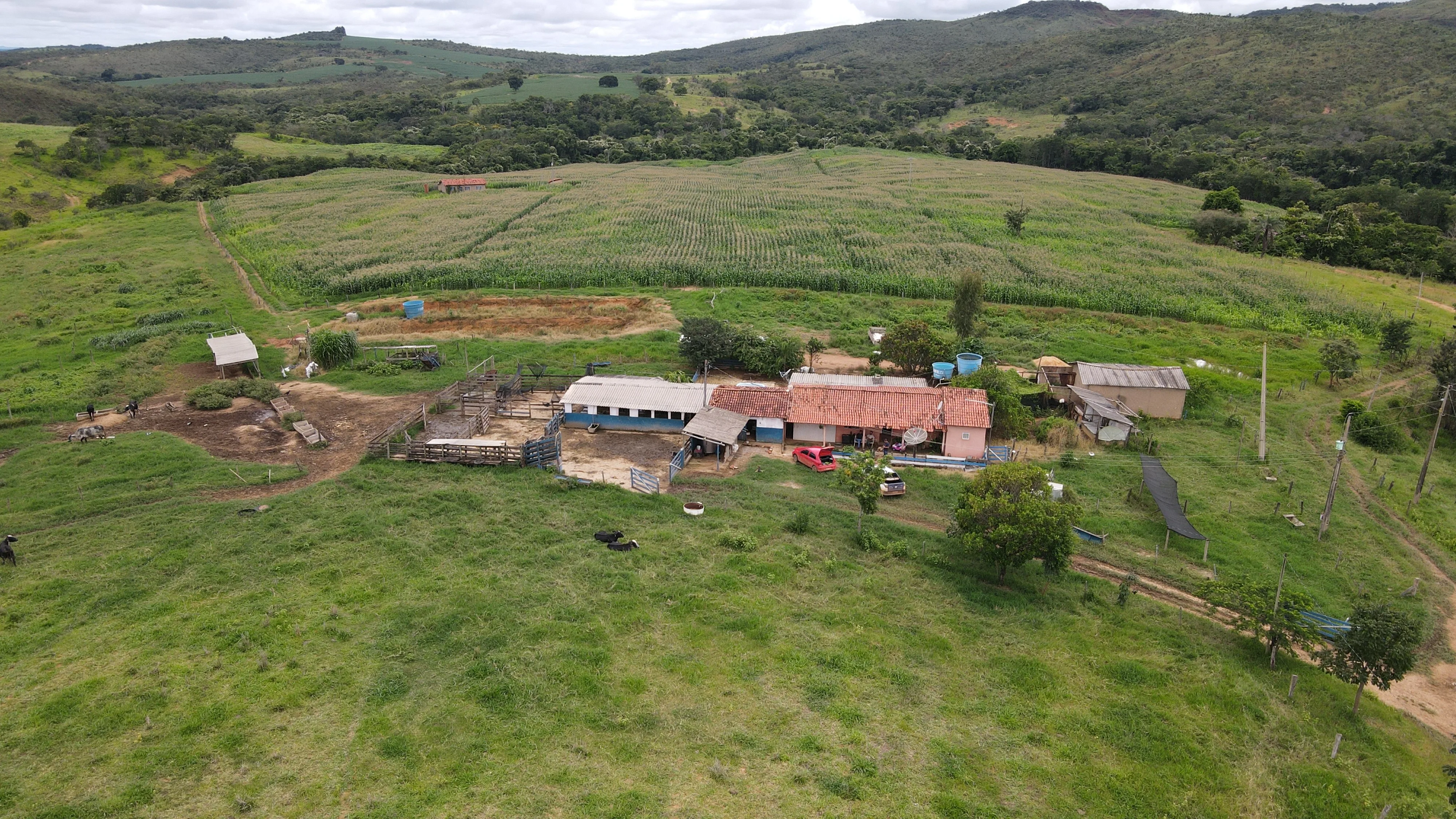 Fazenda Para Gado E Cereais Em Coromandel