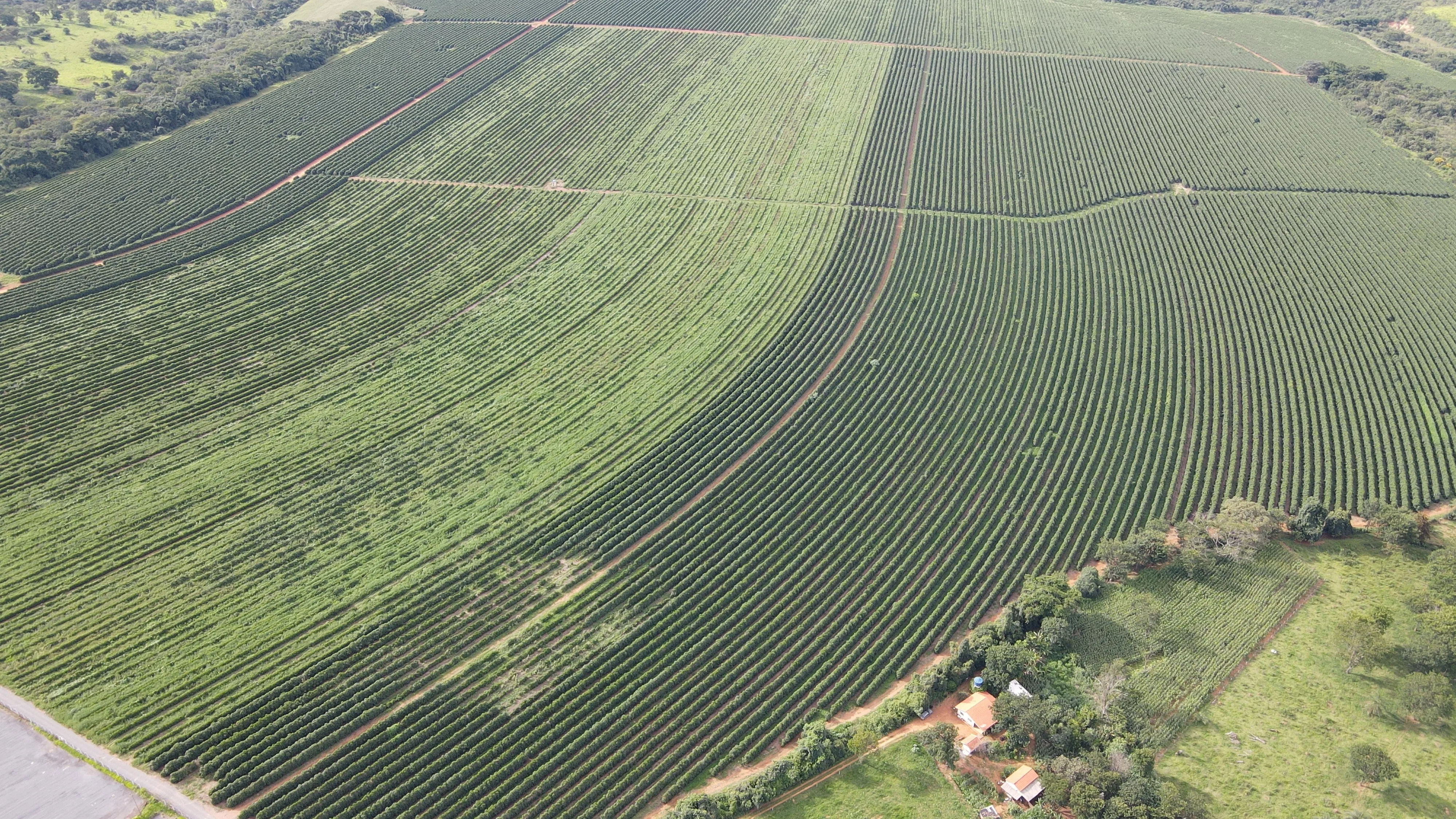 Excelente Fazenda Cafeeira Em Cruzeiro Da Fortaleza-Mg