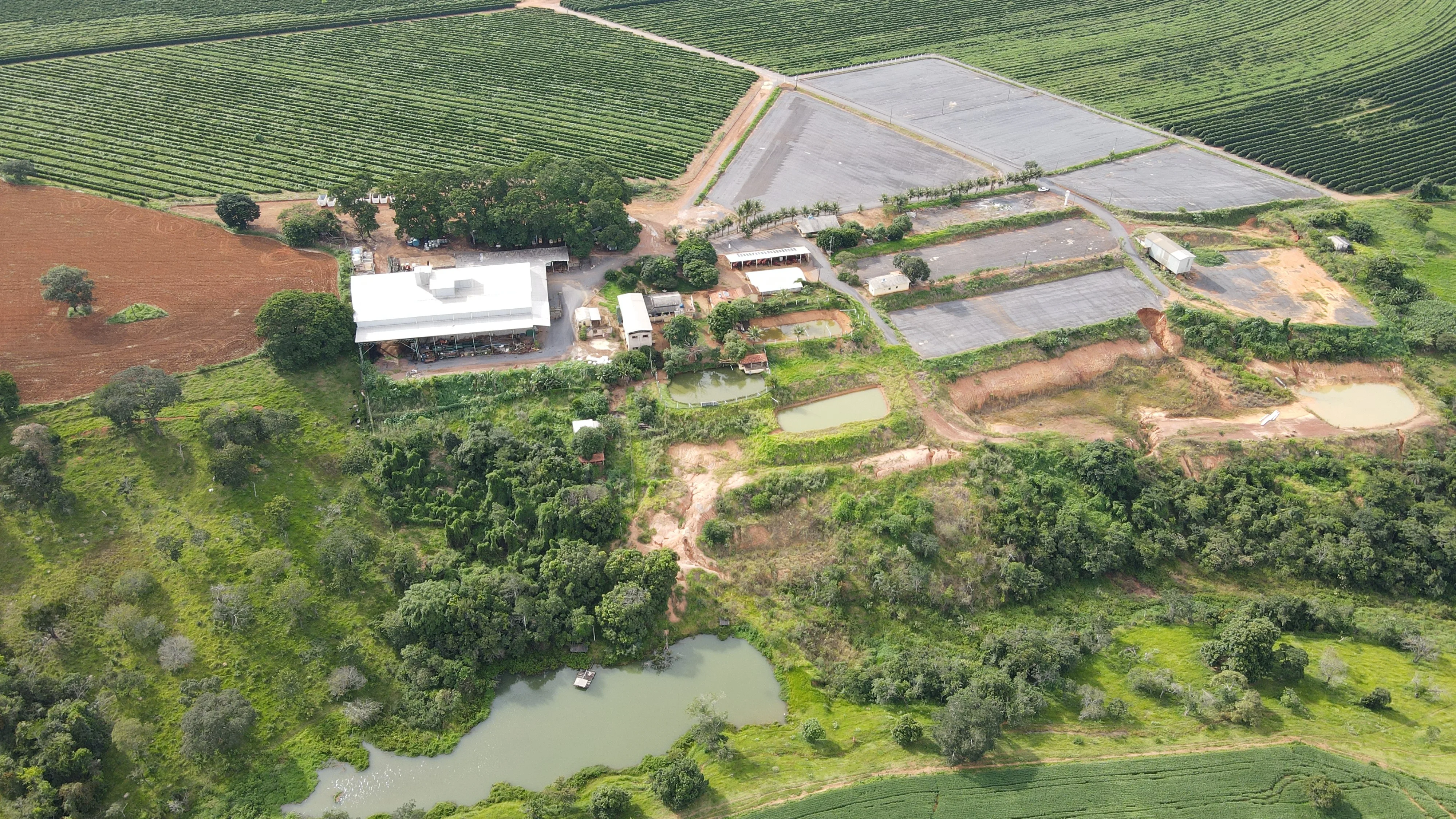 Excelente Fazenda Cafeeira Em Cruzeiro Da Fortaleza-Mg