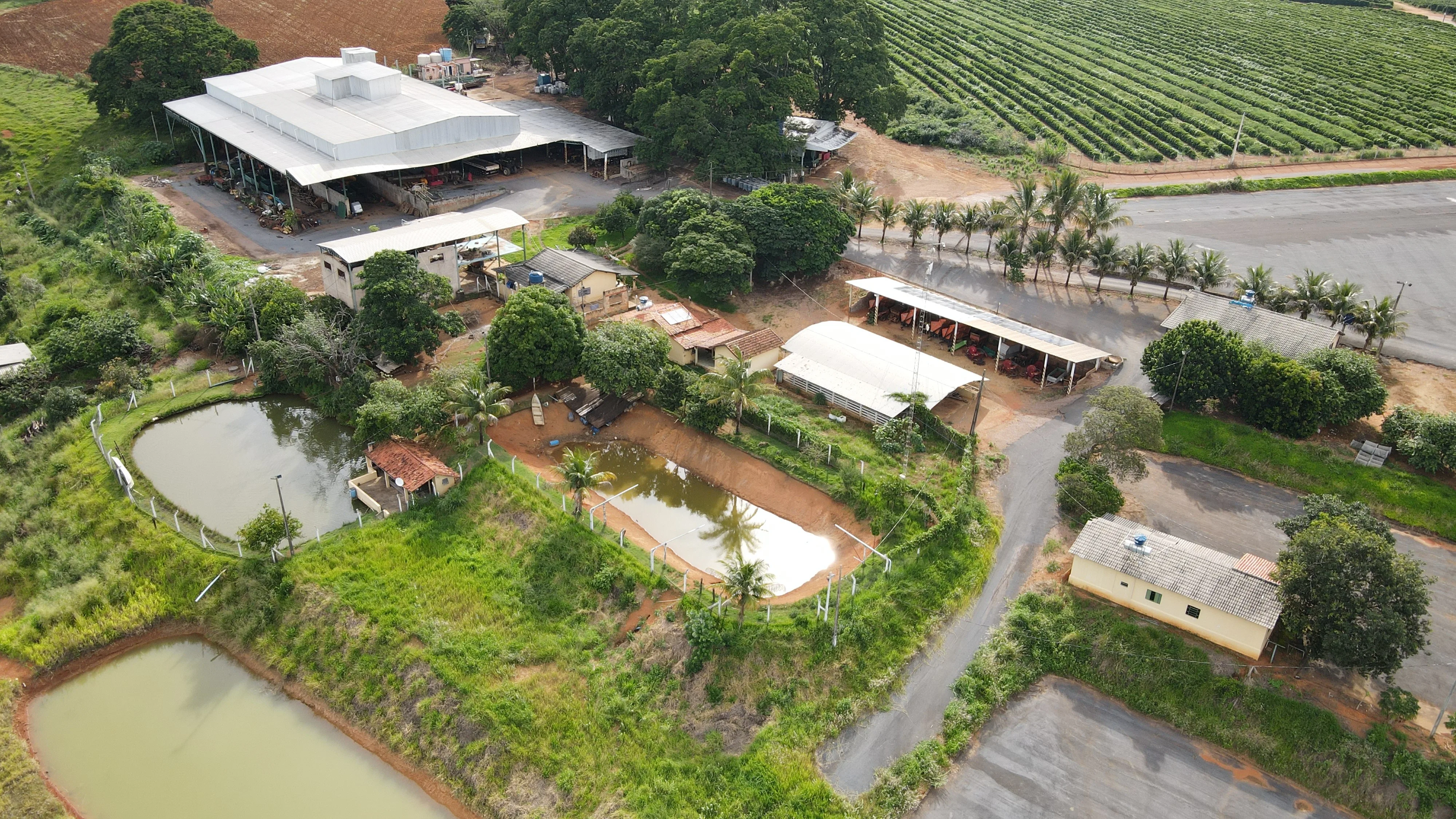 Excelente Fazenda Cafeeira Em Cruzeiro Da Fortaleza-Mg