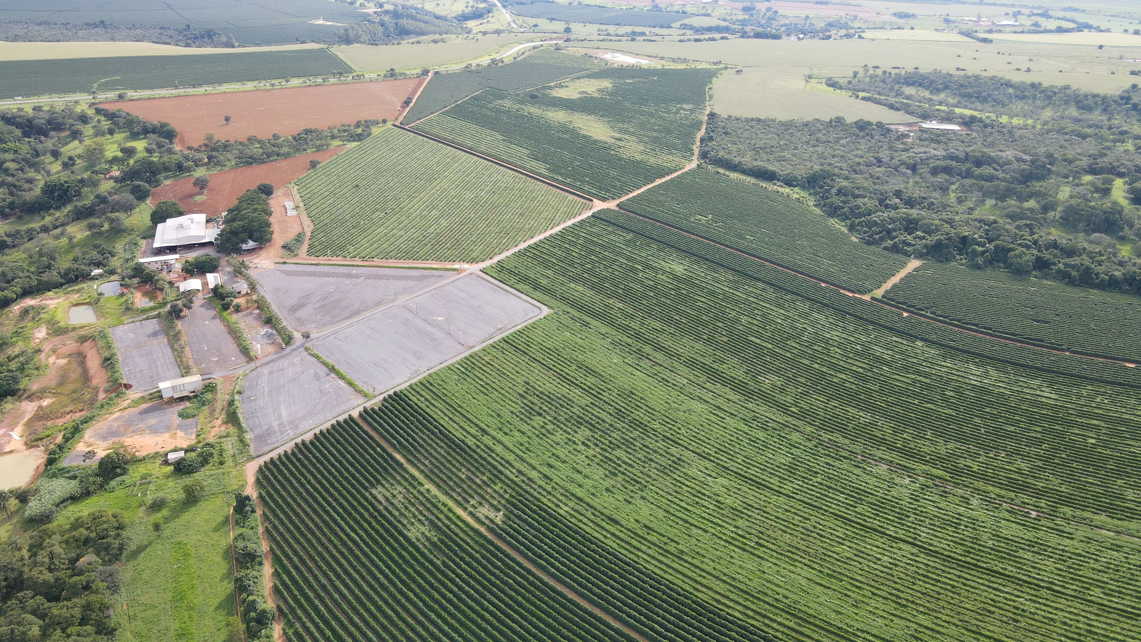 Excelente Fazenda Cafeeira Em Cruzeiro Da Fortaleza-Mg
