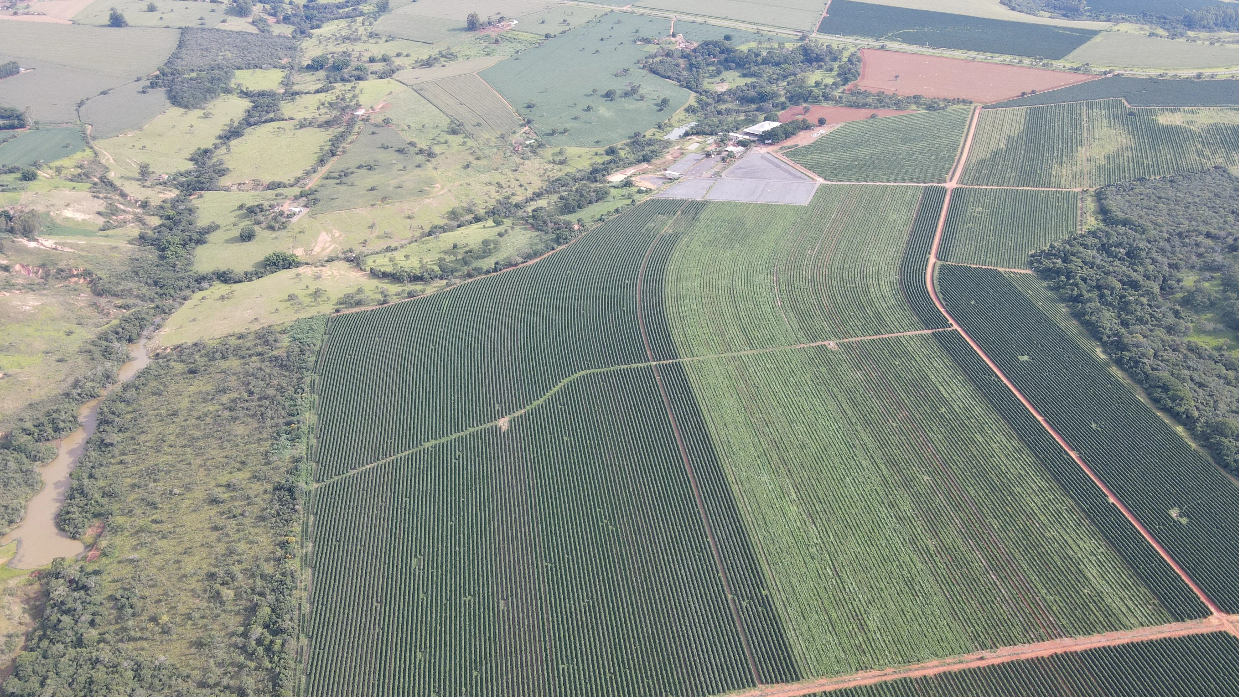 Excelente Fazenda Cafeeira Em Cruzeiro Da Fortaleza-Mg