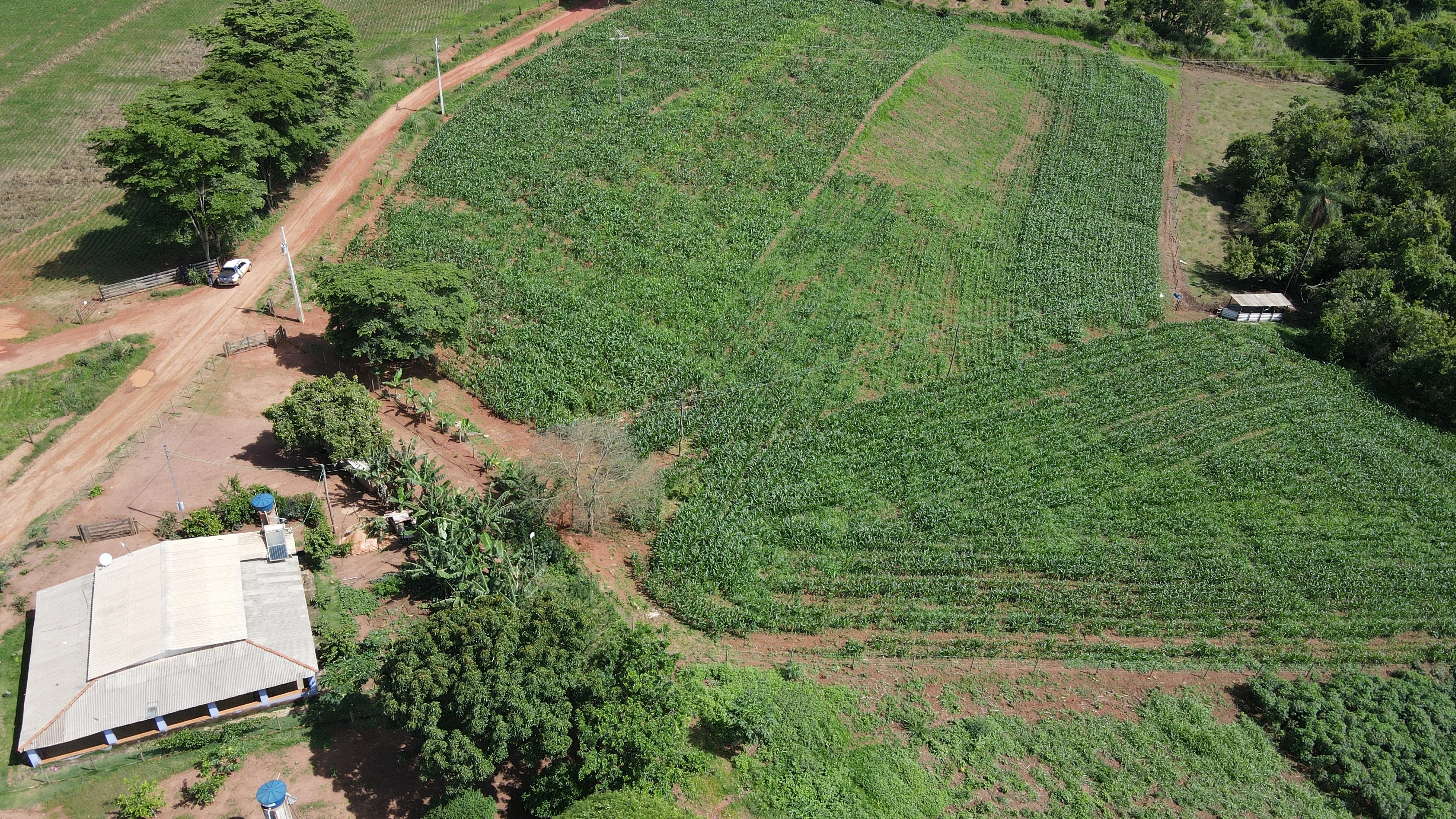 Bela Chácara À Venda Em Silvano, Município De Patrocínio - Mg.
