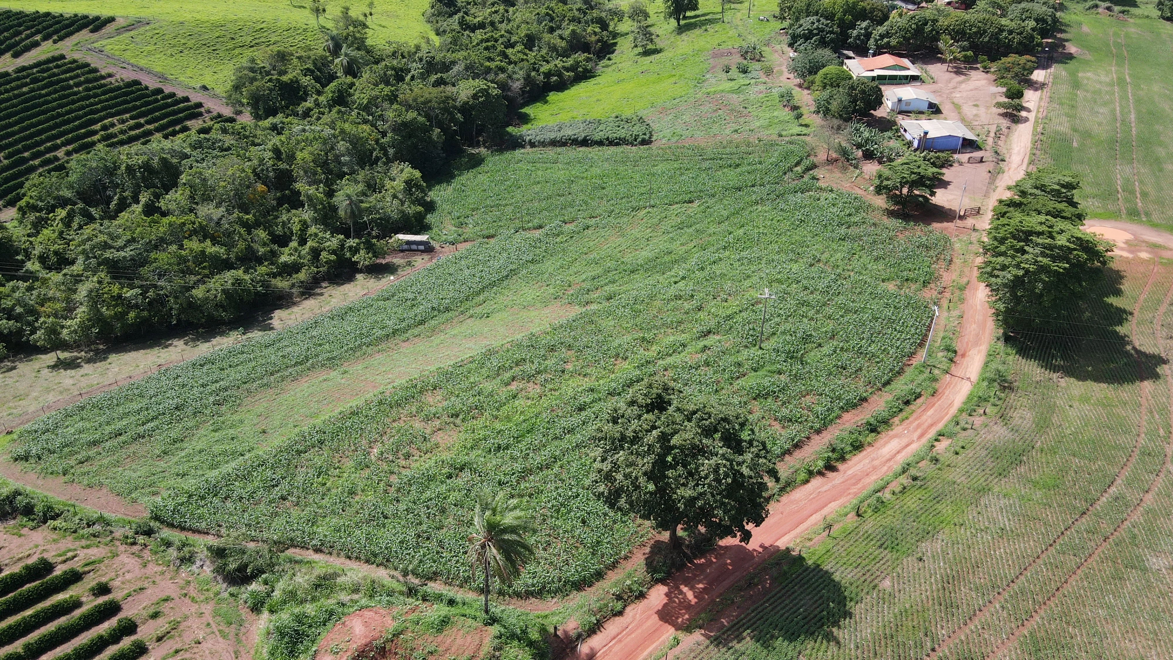 Bela Chácara À Venda Em Silvano, Município De Patrocínio - Mg.