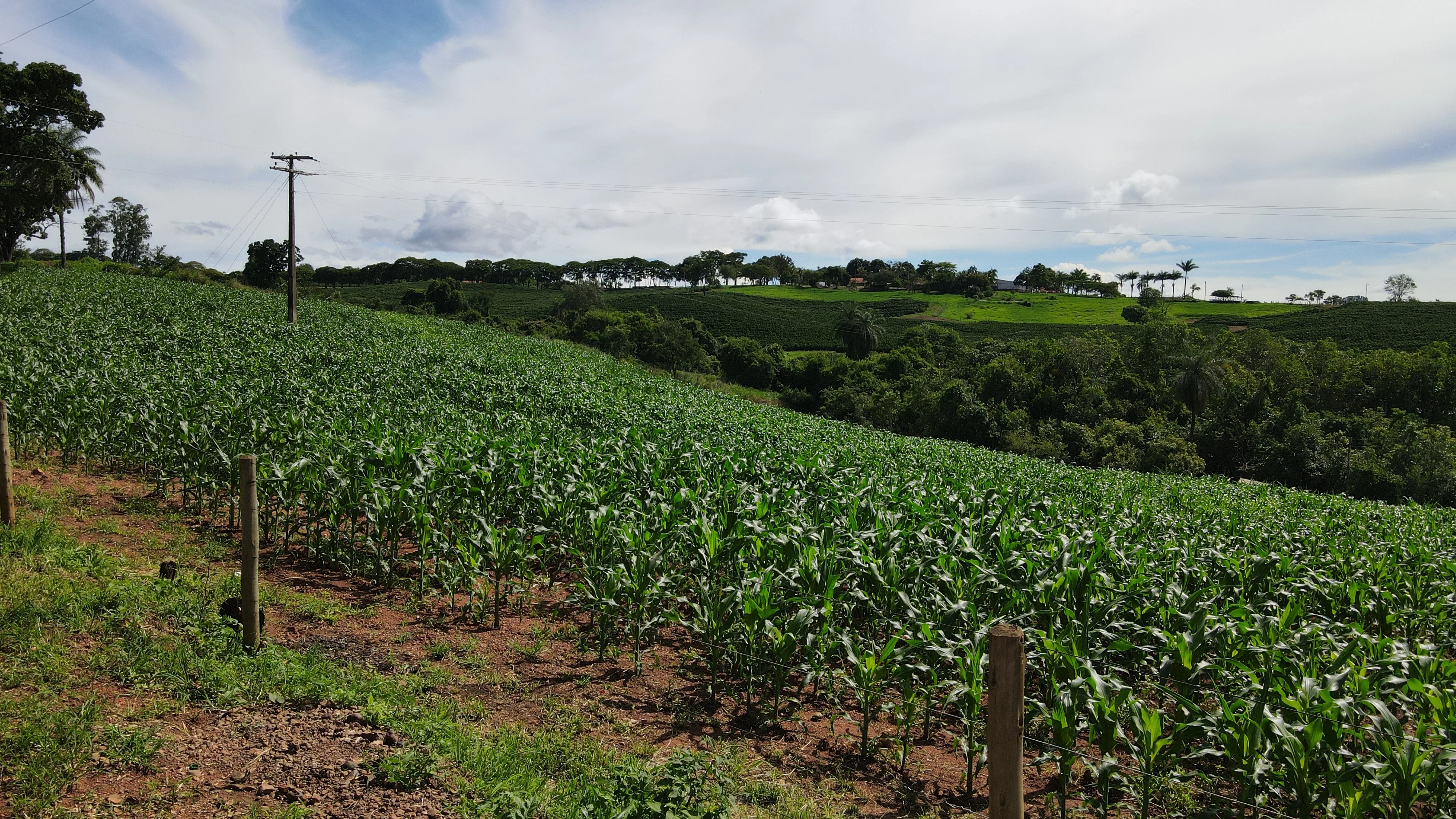 Bela Chácara À Venda Em Silvano, Município De Patrocínio - Mg.