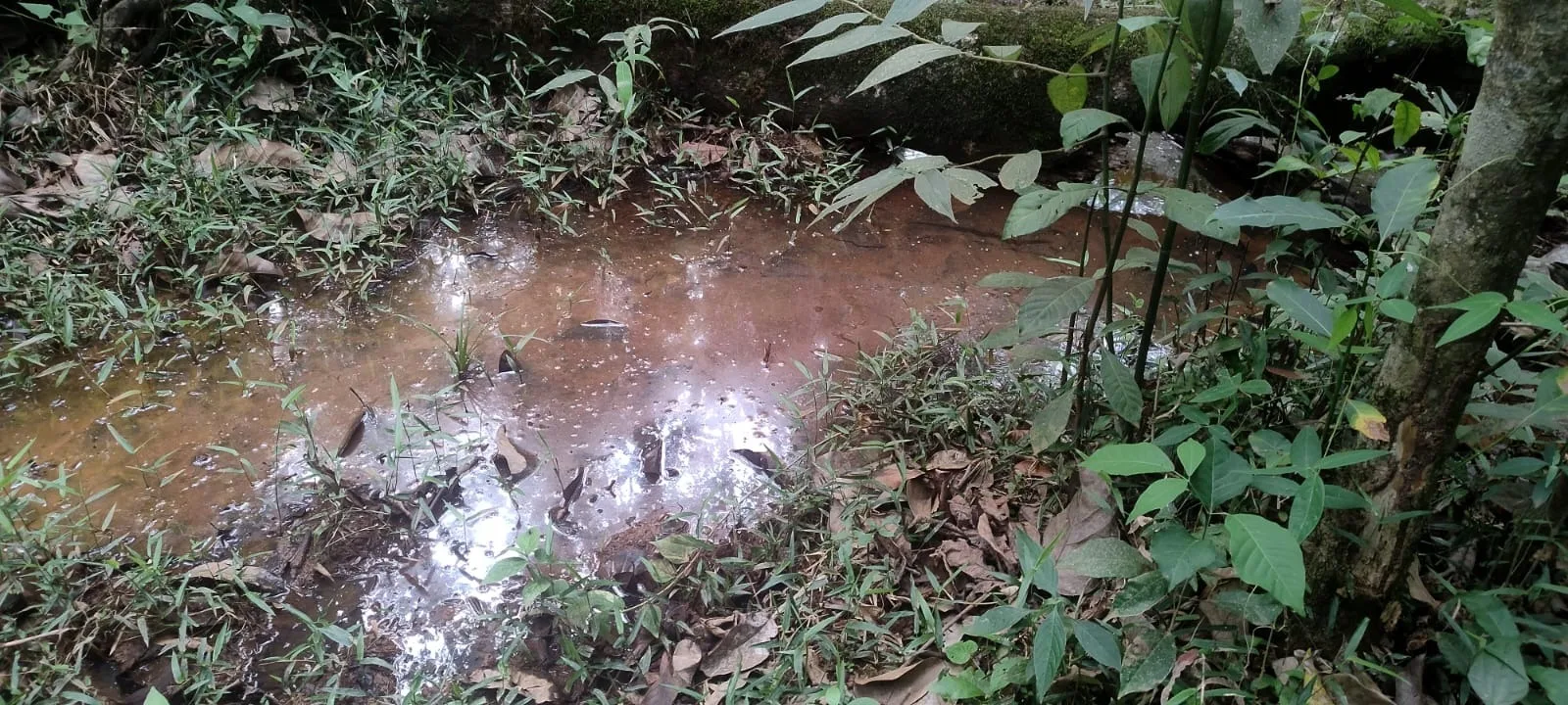 Bela Chácara À Venda Em Silvano, Município De Patrocínio - Mg.