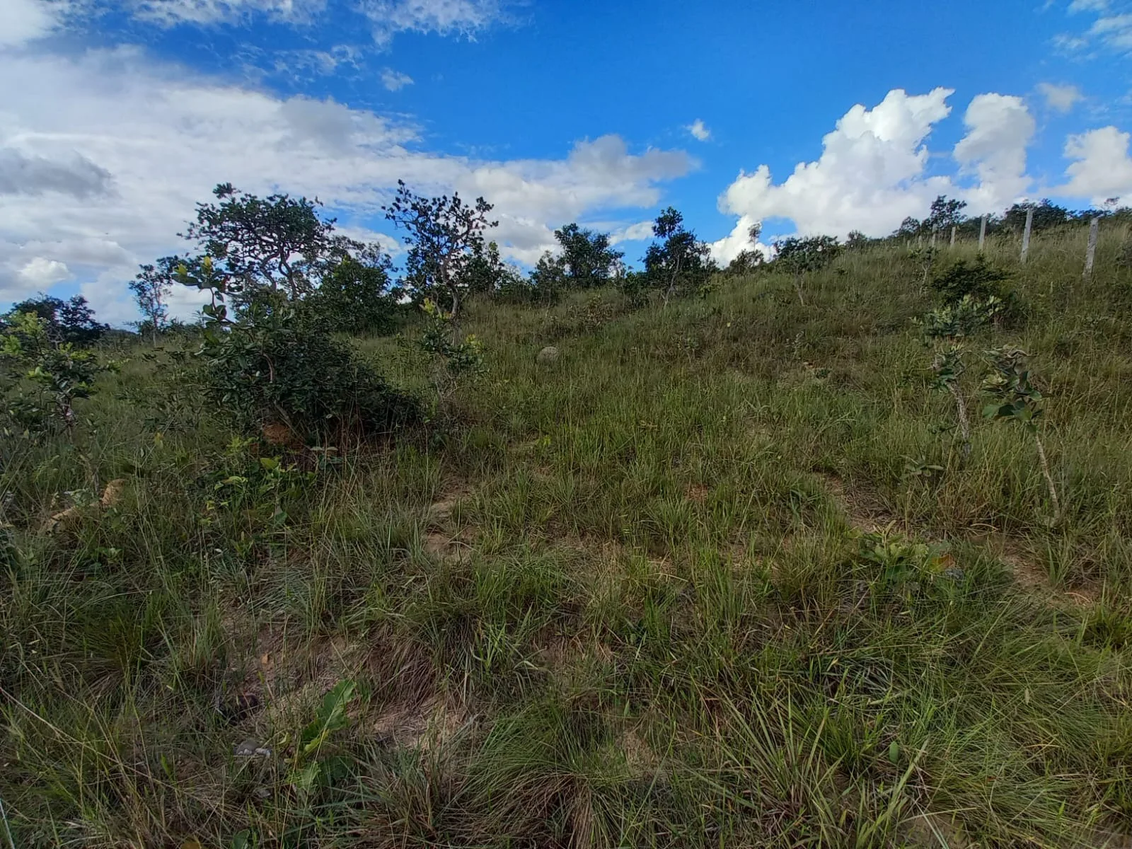 Área Em Cerrado Para Investimento Em Patrocínio/Mg
