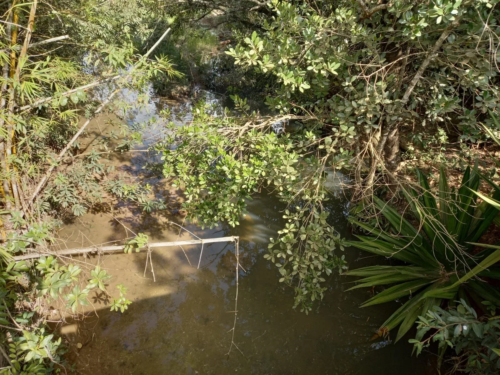 Área Em Cerrado Para Investimento Em Patrocínio/Mg
