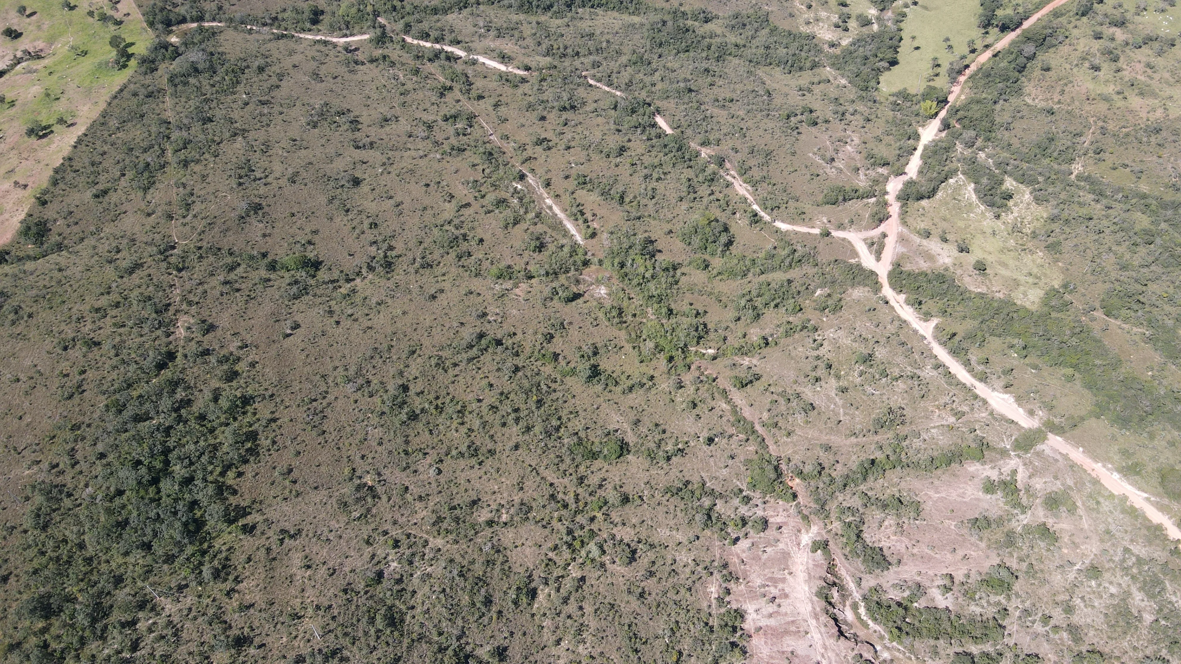 Área Em Cerrado Para Investimento Em Patrocínio/Mg