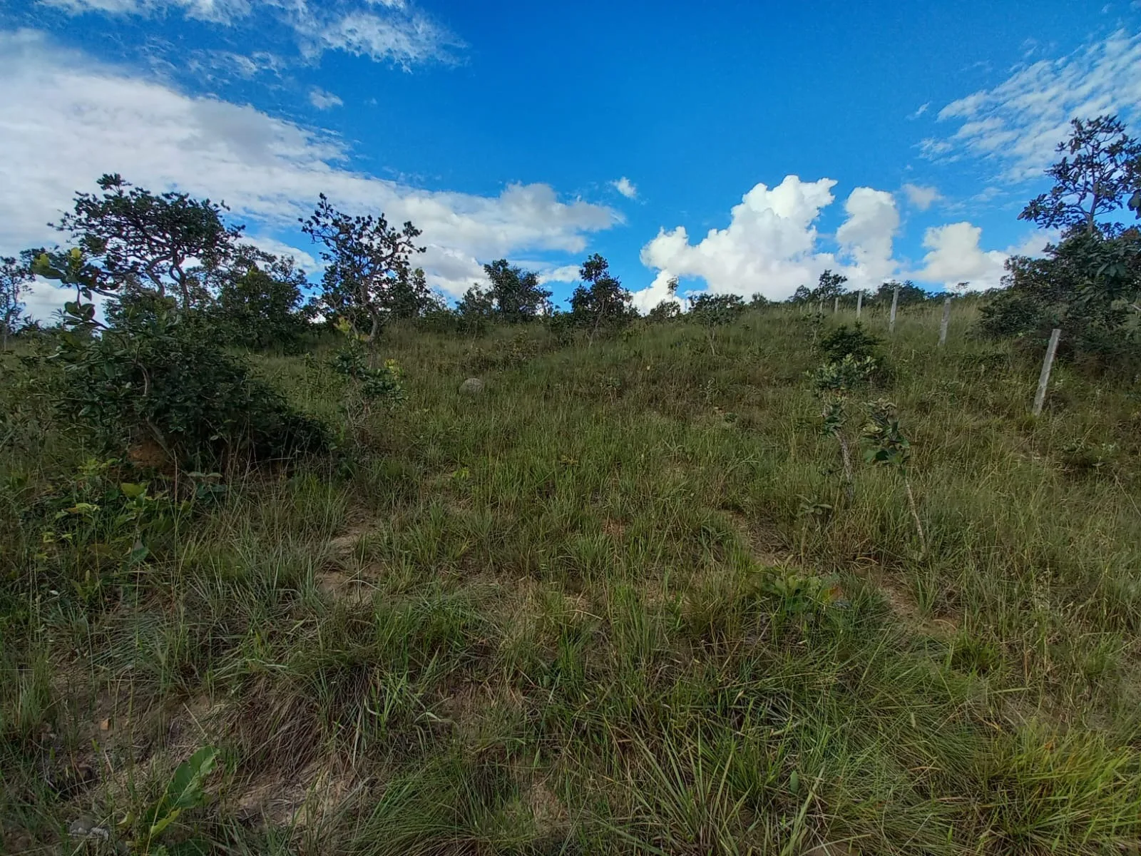 Área Em Cerrado Para Investimento Em Patrocínio/Mg