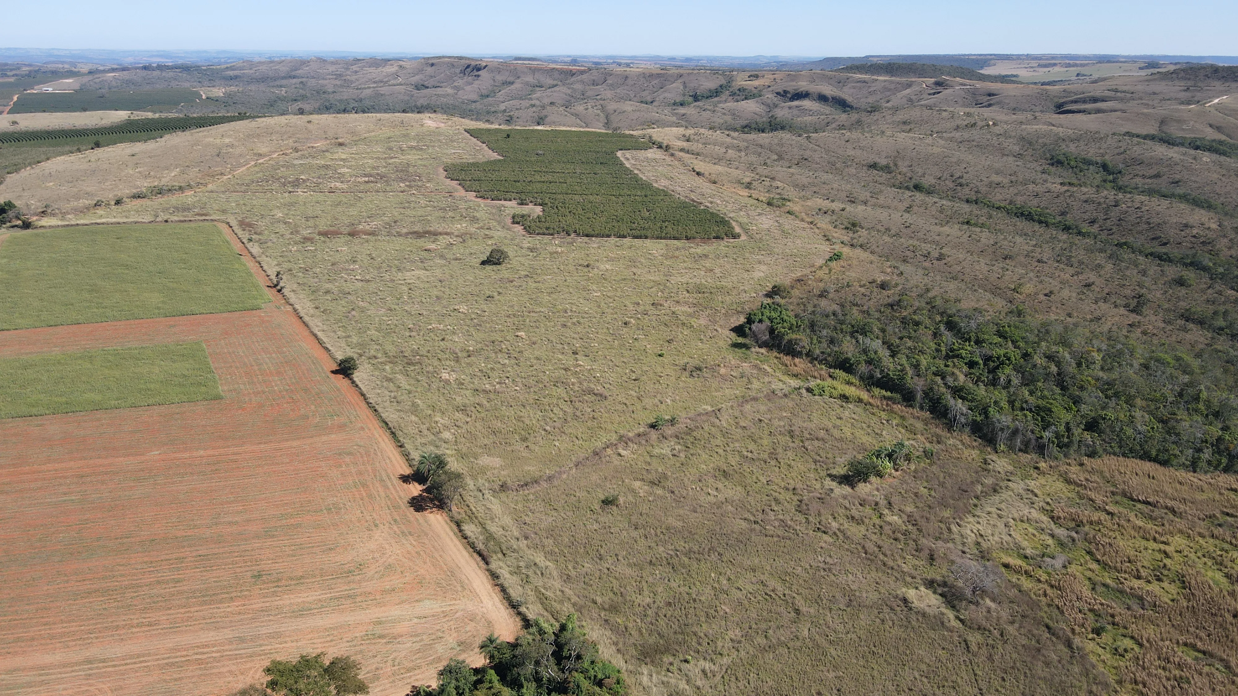 Fazenda Dupla Aptidão Na Região De Boa Vista